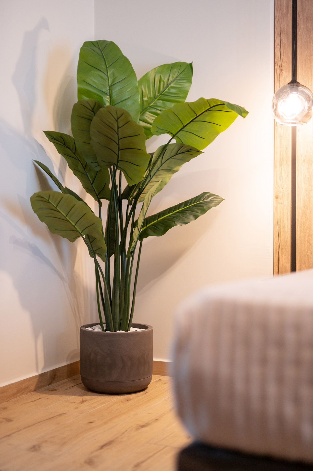 GL2_1097 - Αντιγραφή.jpg