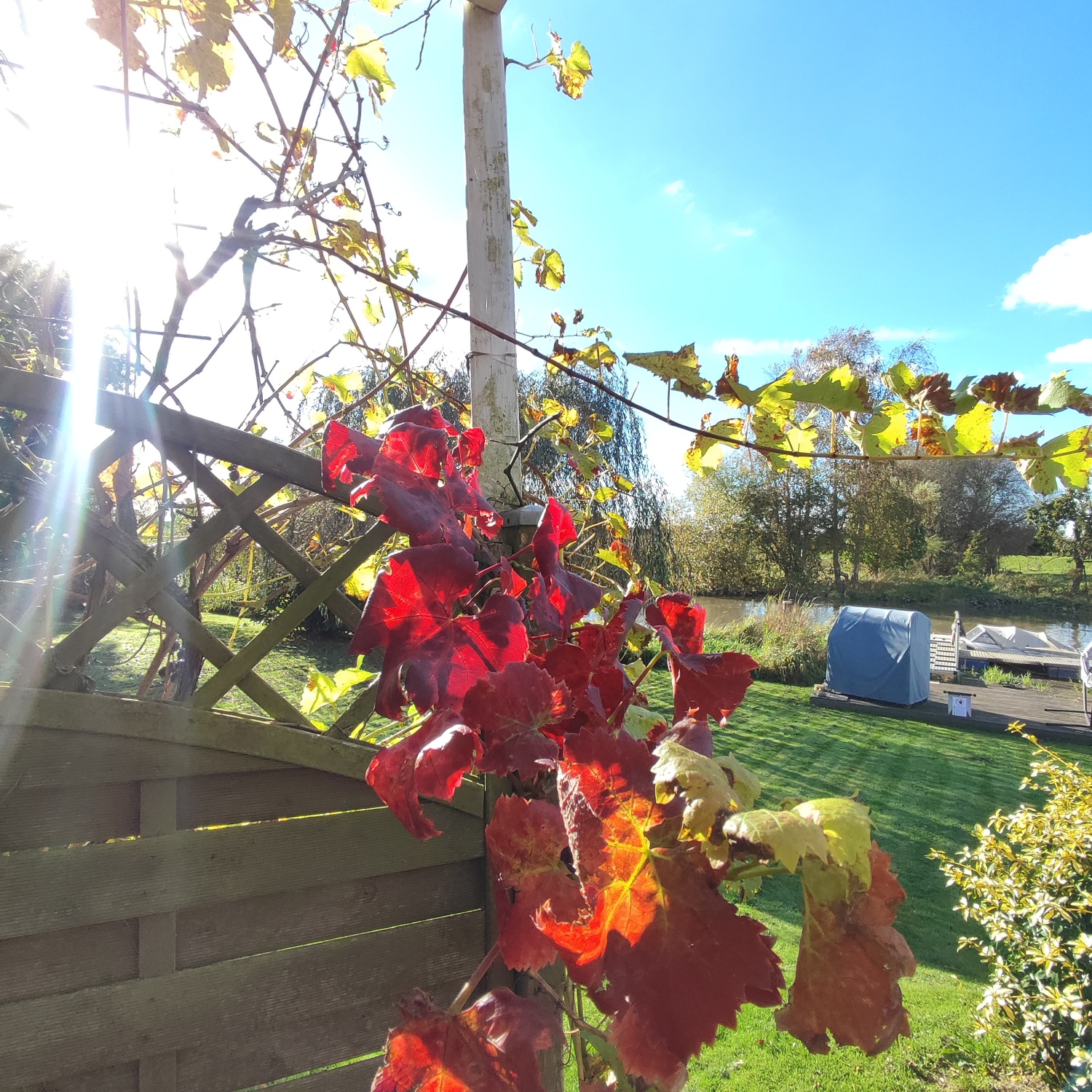 Blick -von -der -Terrasse- zum -Garten.jpg