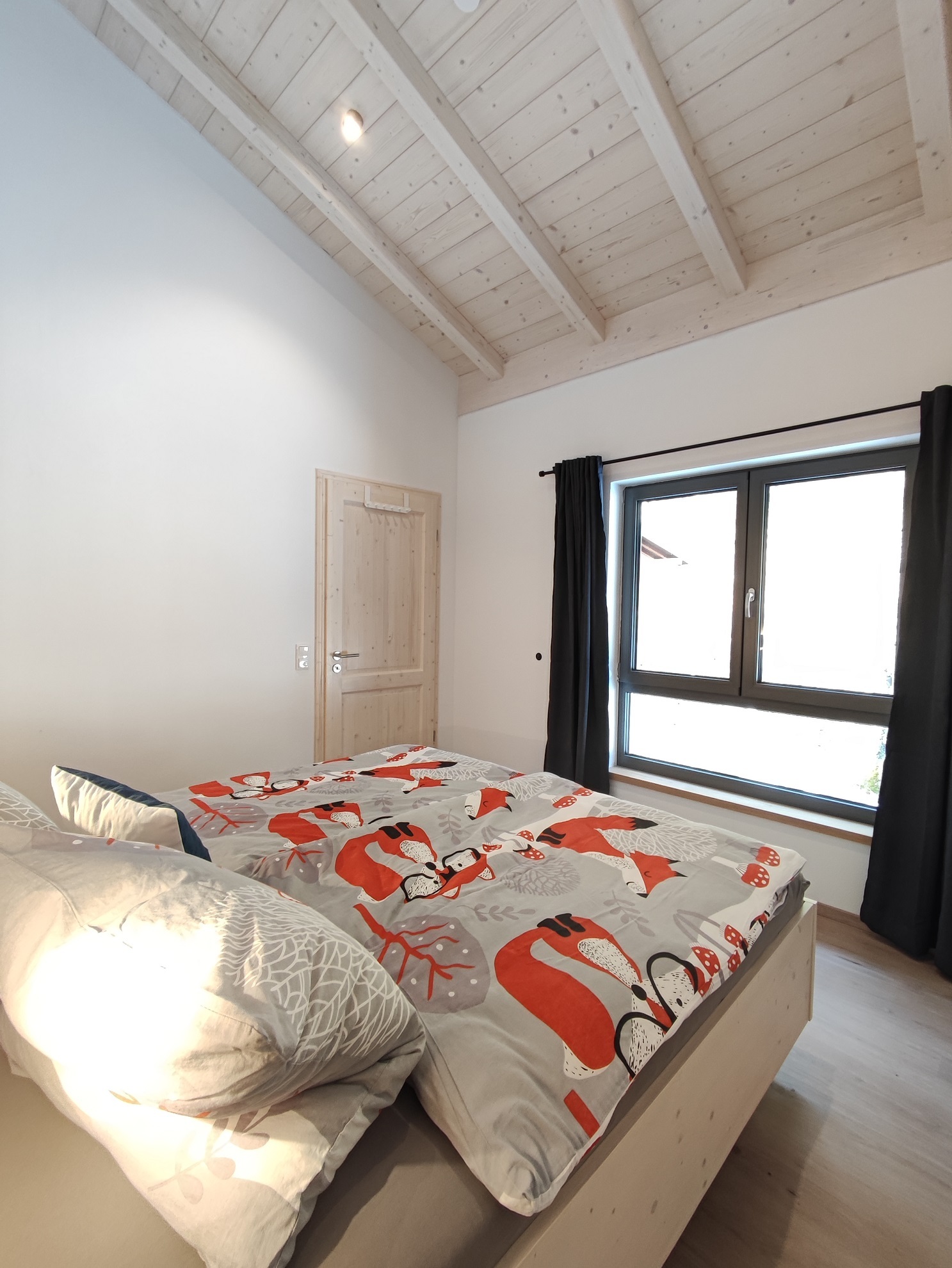 SZ Fenster low res.jpg