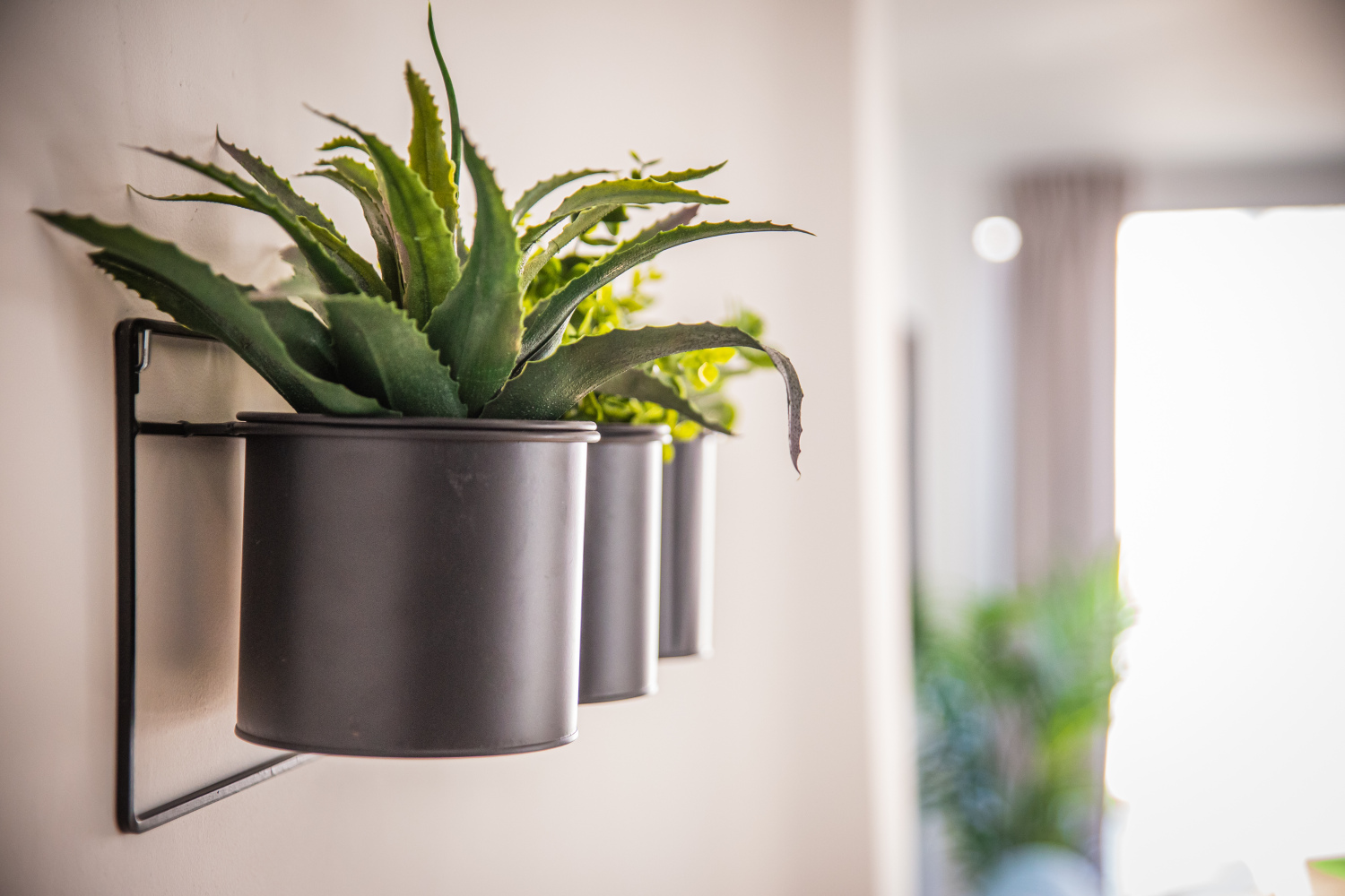 SAN VICENTE 09_5A_24.jpg