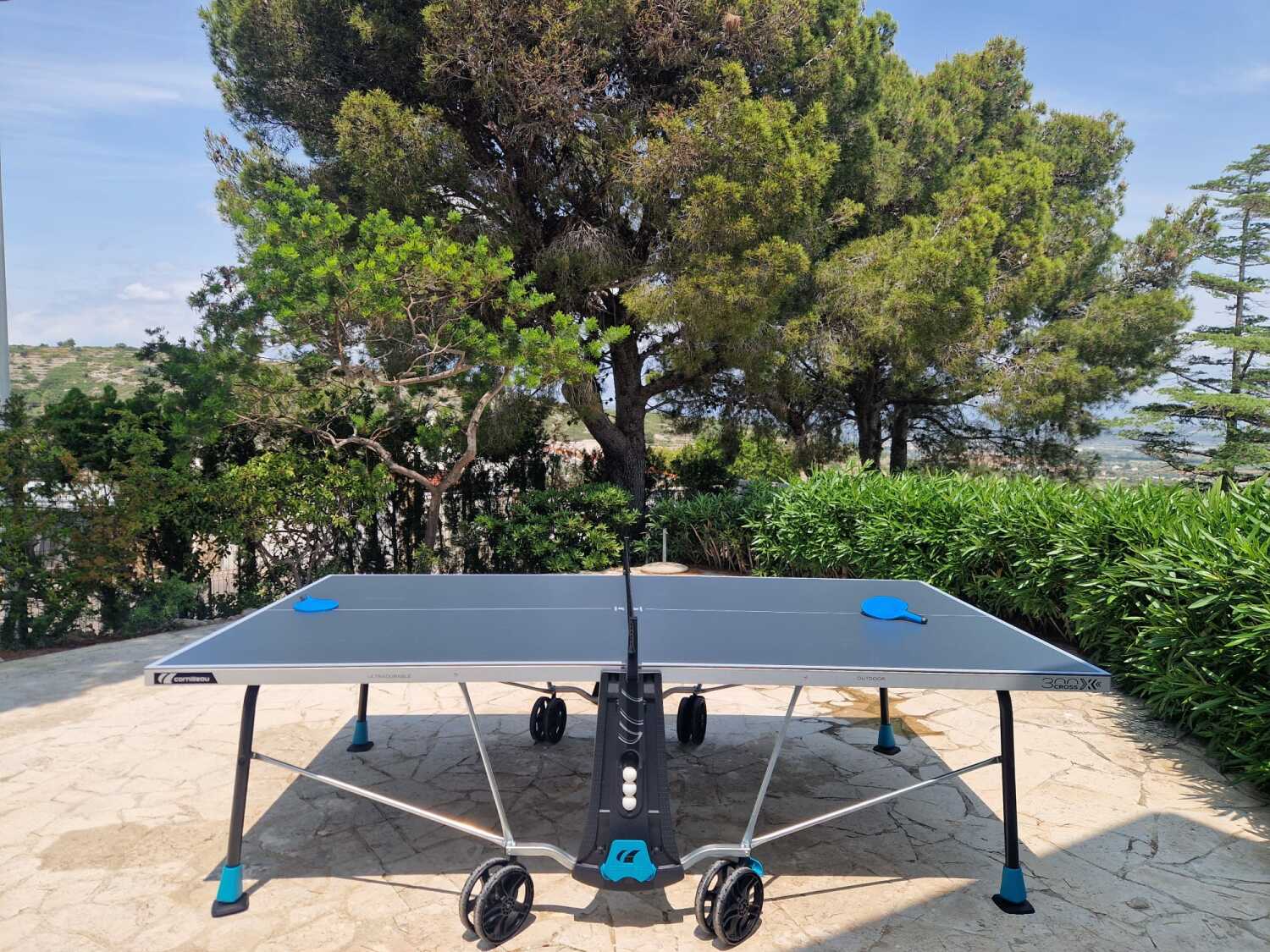 Ping pong table 4.jpg