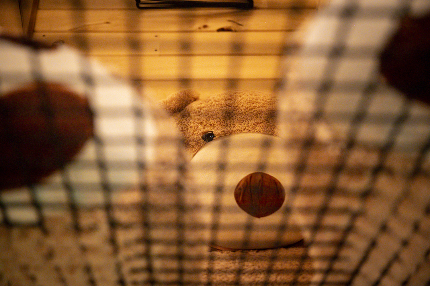 pat' de l'ours-76.JPG