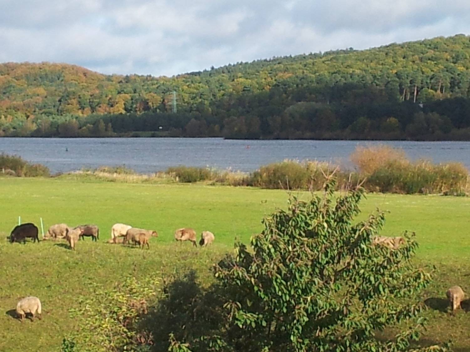 2011-10-20 10.46.32.jpg