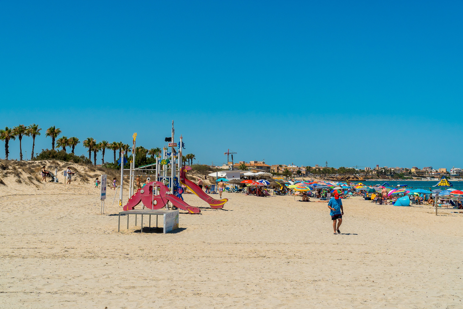 Gladiolo 52 - Pilar de Horadada (63).jpg