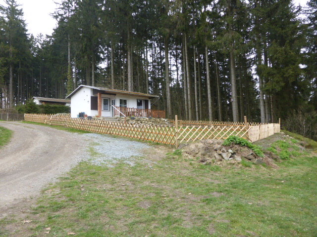 Bungalow 46 Natur außen (1).JPG