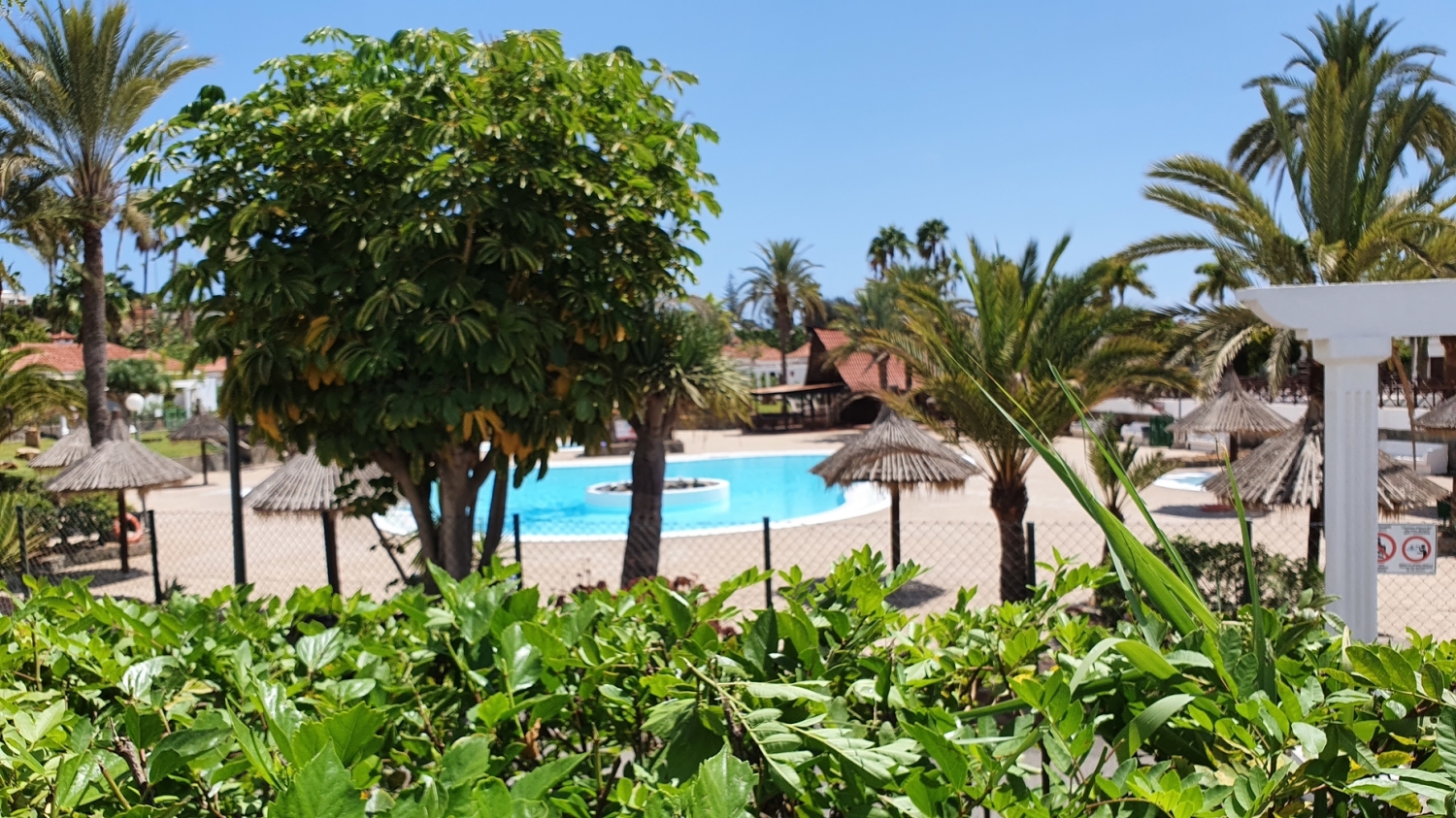 Webp.net-resizeimage (7).jpg