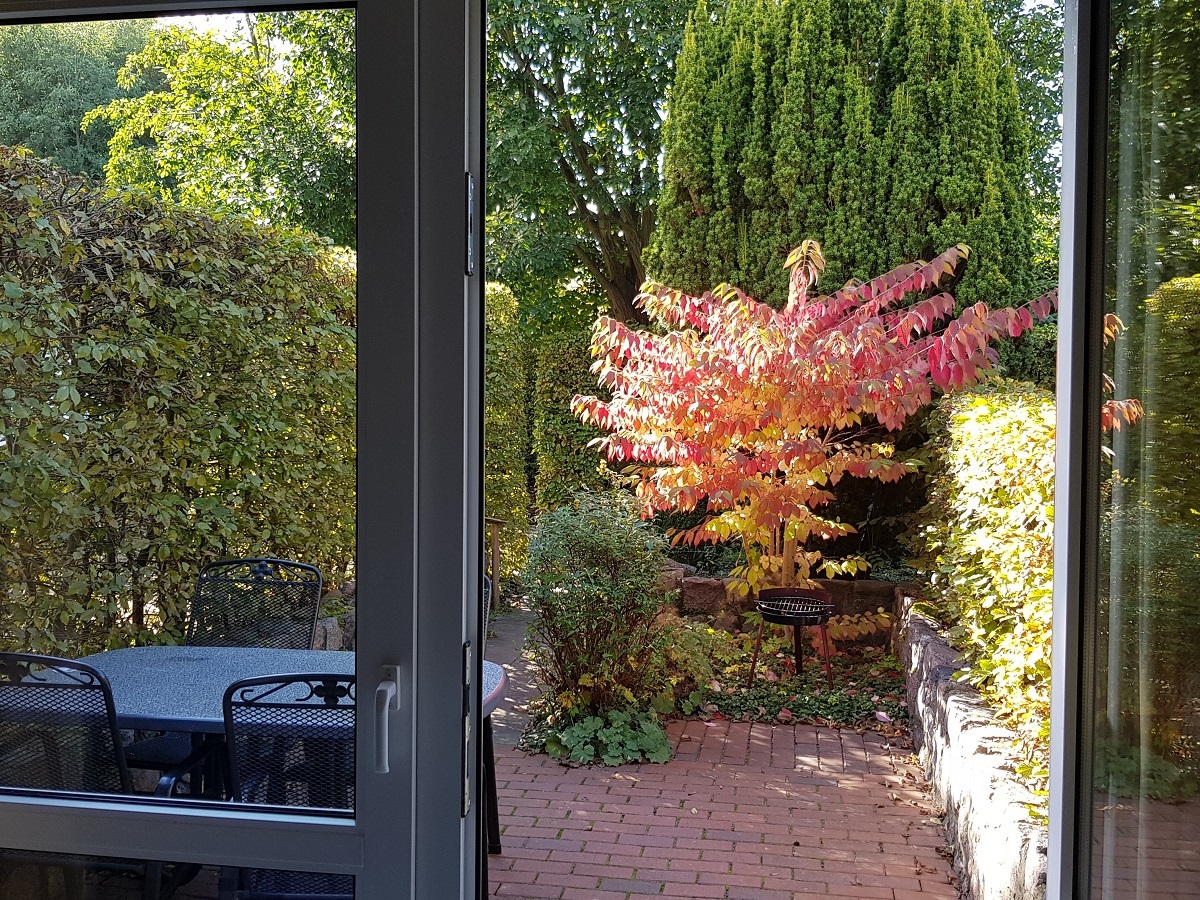 Terrasse von innen.jpg