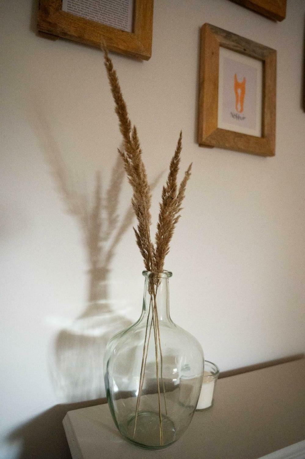 WhatsApp Bild 2023-09-28 um 17.54.39_187d55a0.jpg