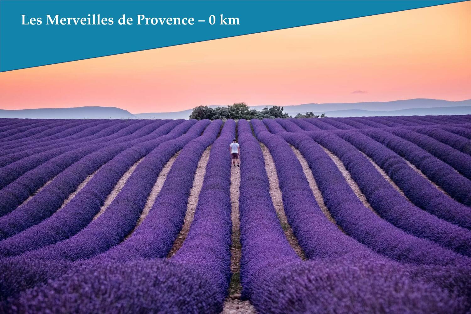 002 - Lavender Provence - Les Bastidons de l'Isle.jpg