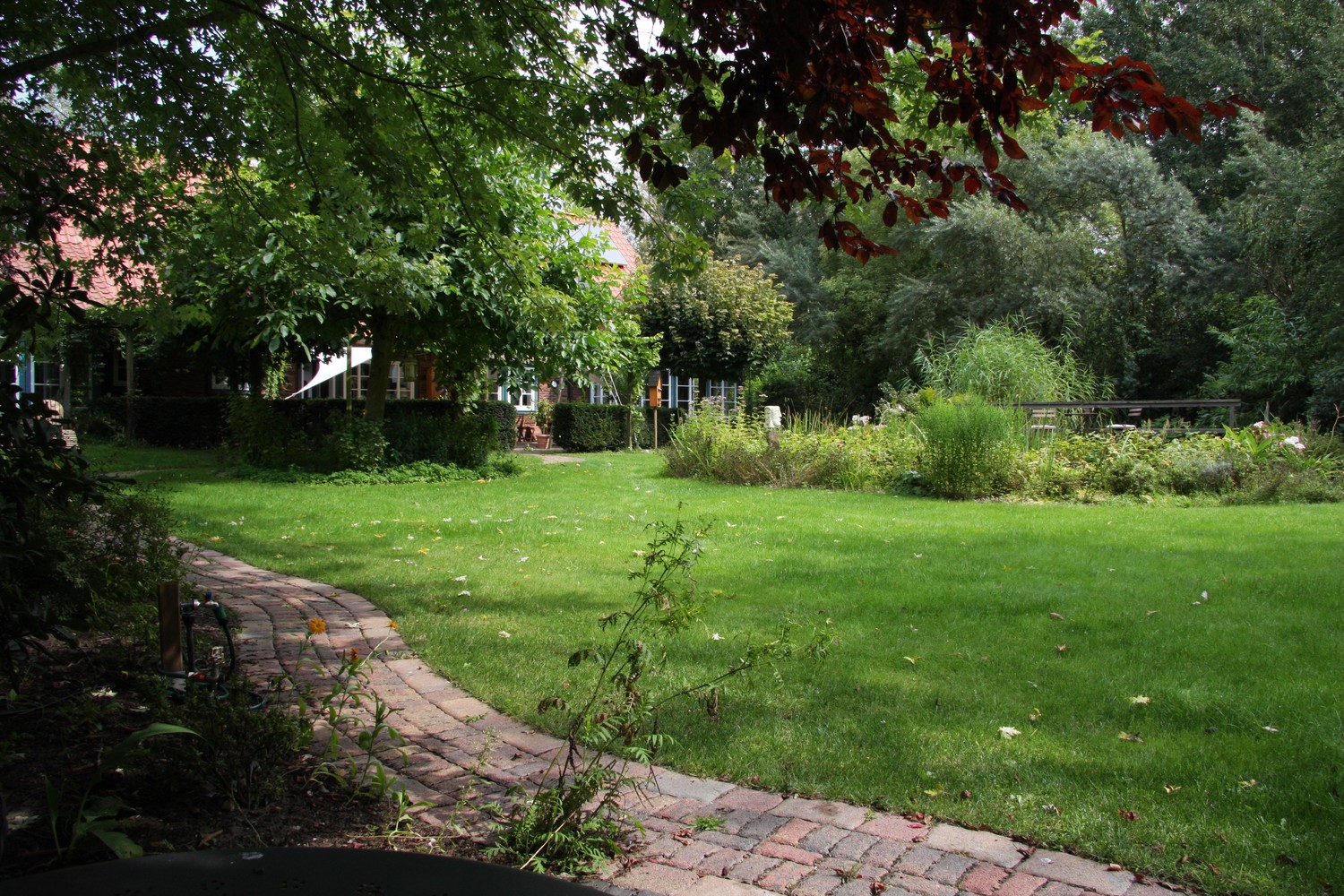 Blick vom Frühstücksplatz.jpg