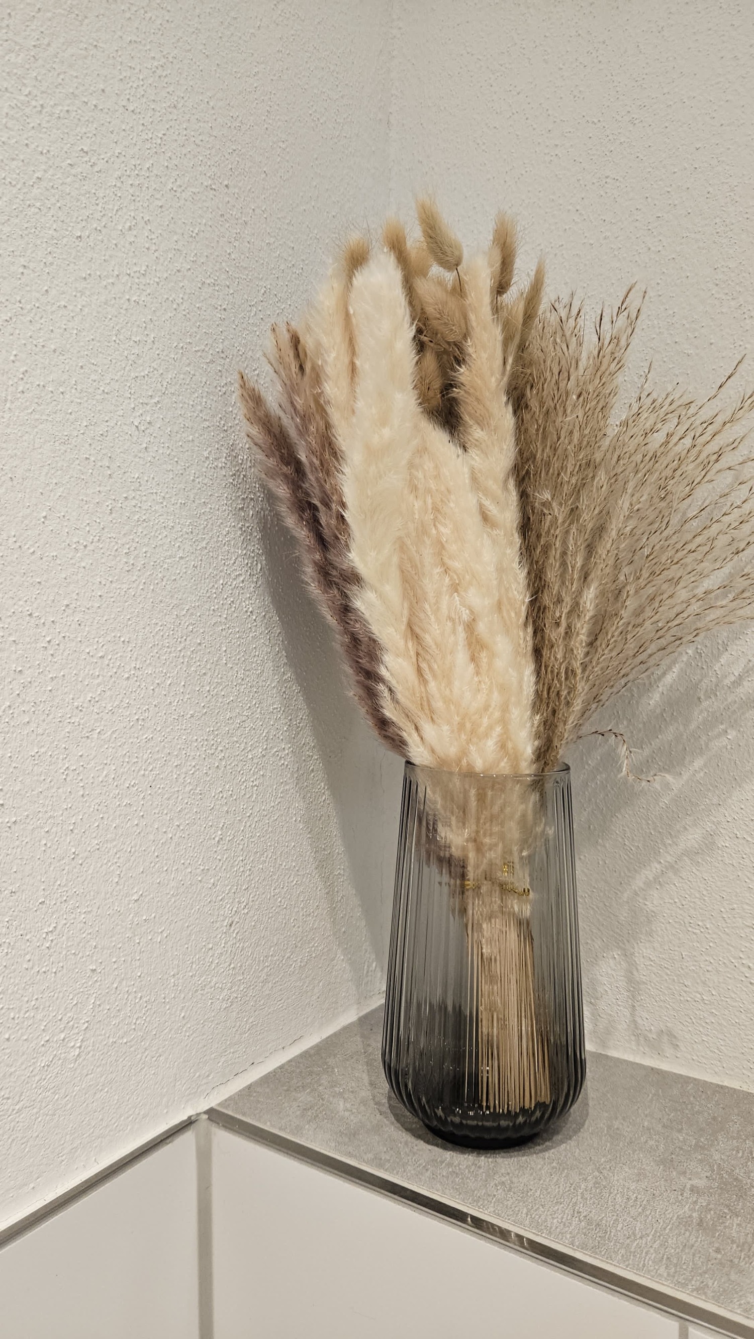 WhatsApp Image 2025-02-16 at 22.38.15 (3).jpeg