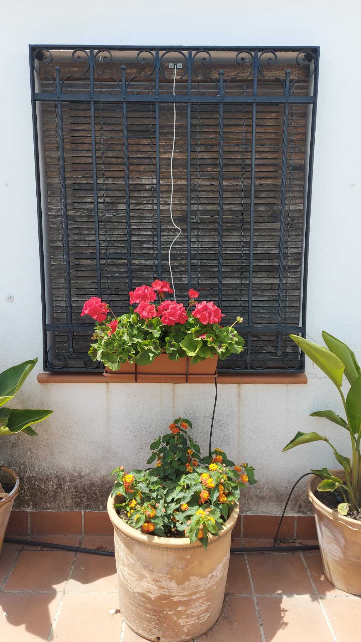 WhatsApp Image 2021-05-16 at 17.42.35.jpeg