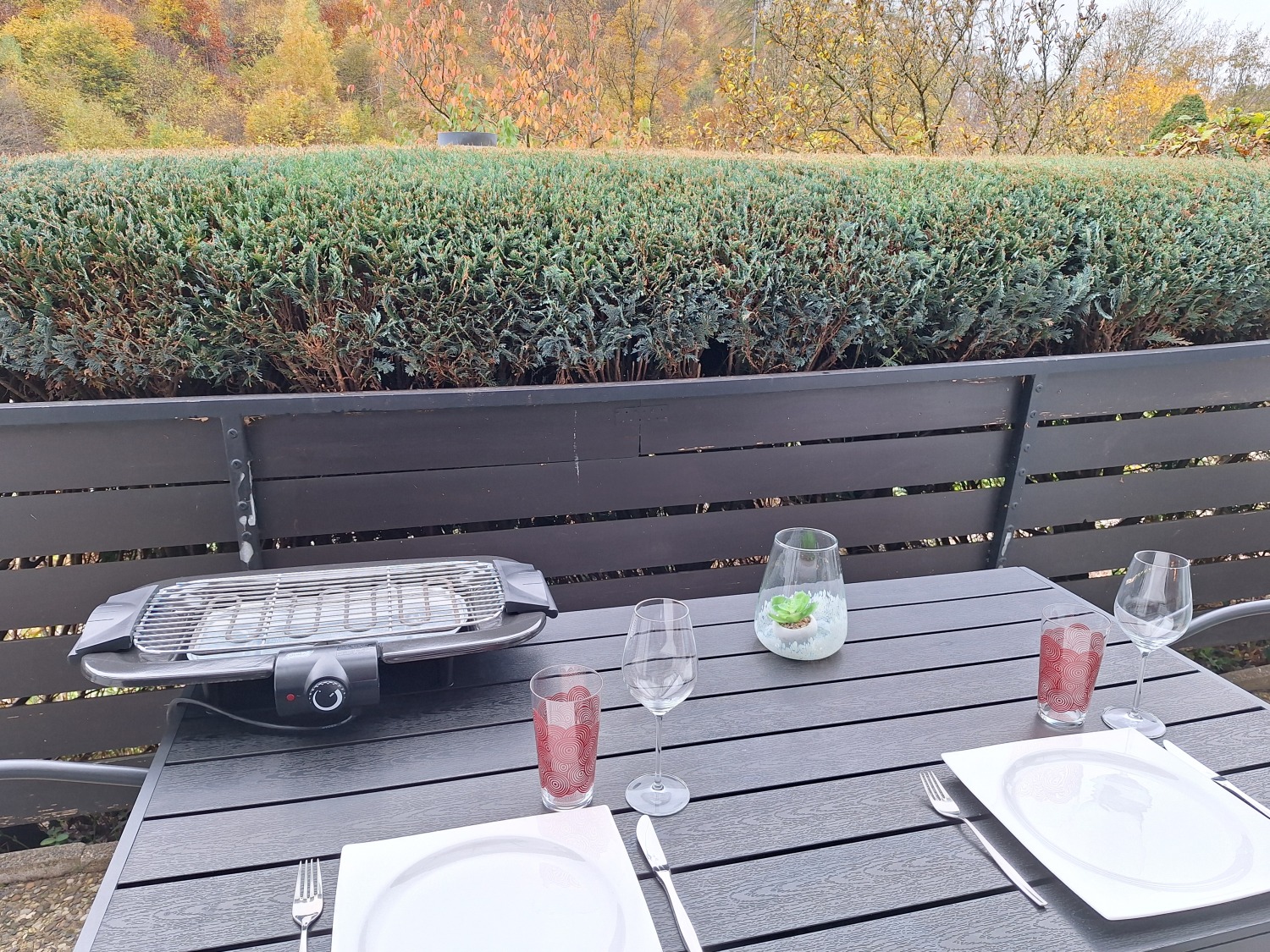 20241029_121936 - Kopie (2) - Kopie.jpg