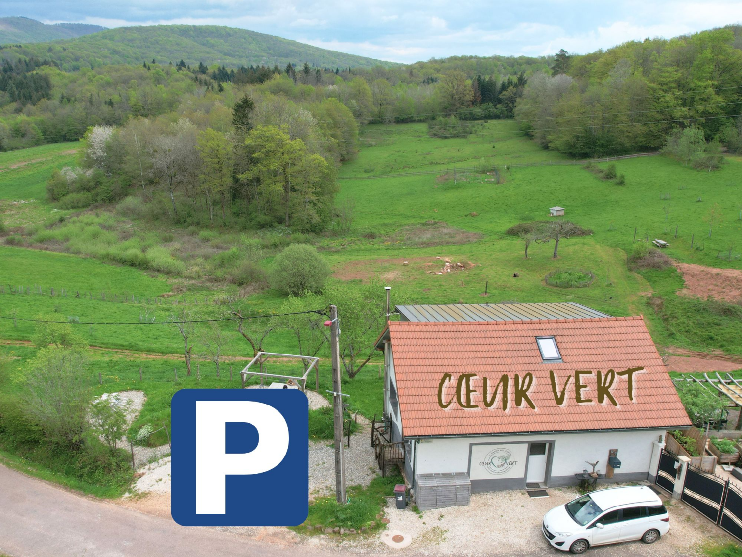 Textkachel universell (24).png