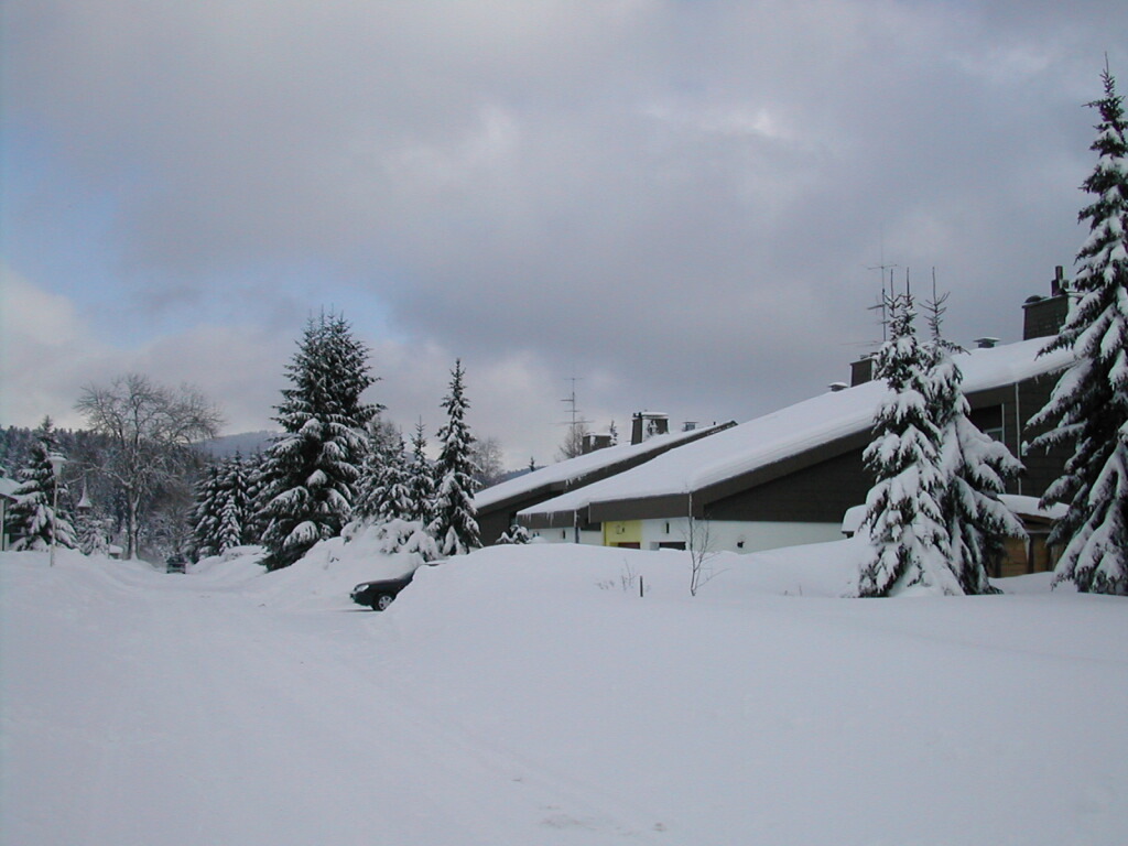 Bilder Diskette 1 044.jpg