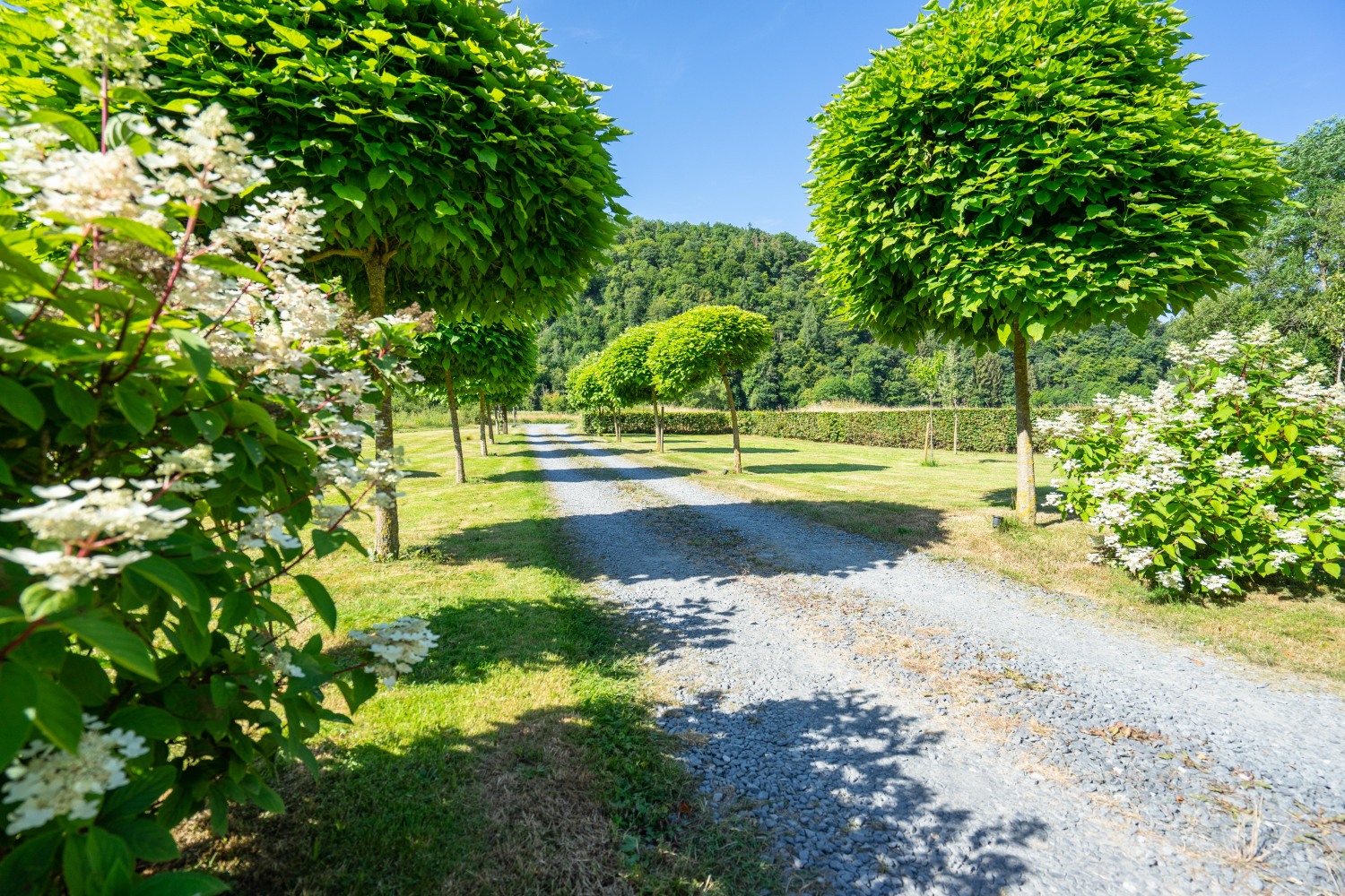 Bills Lodge Web-01054.jpg