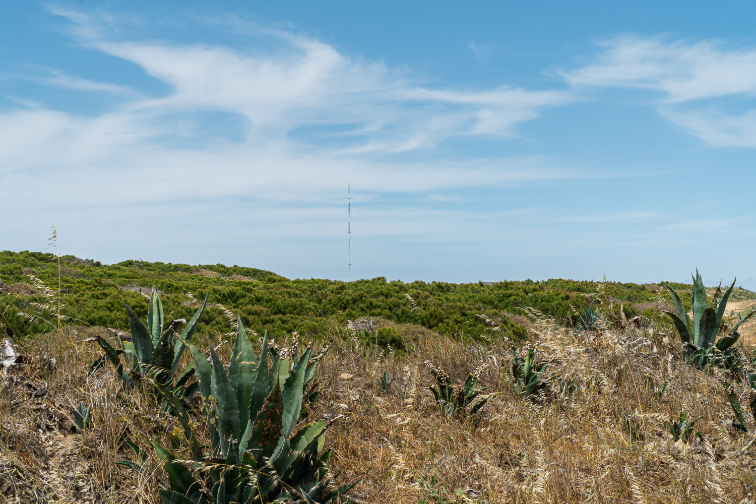 La Mata - Puerto Romano 4 (52).jpg