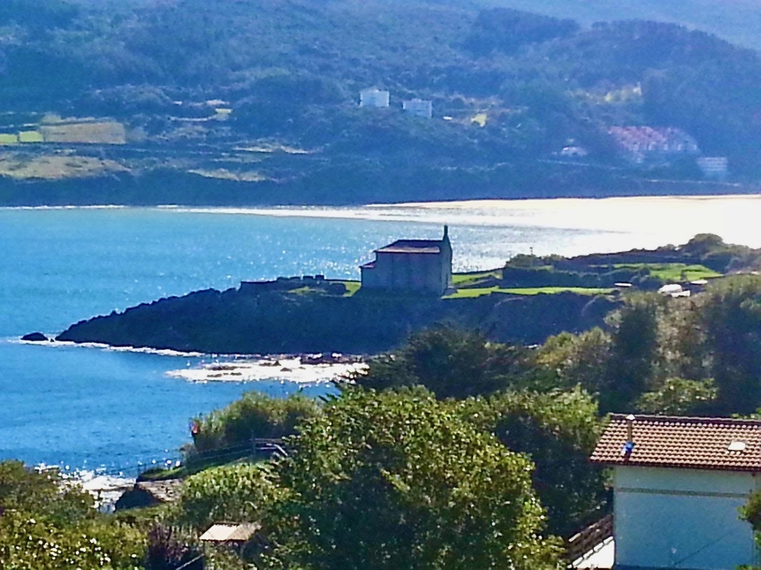 7ba64599-adb3-4e0c-91ce-398ea6fa8cd7 (2).jpeg