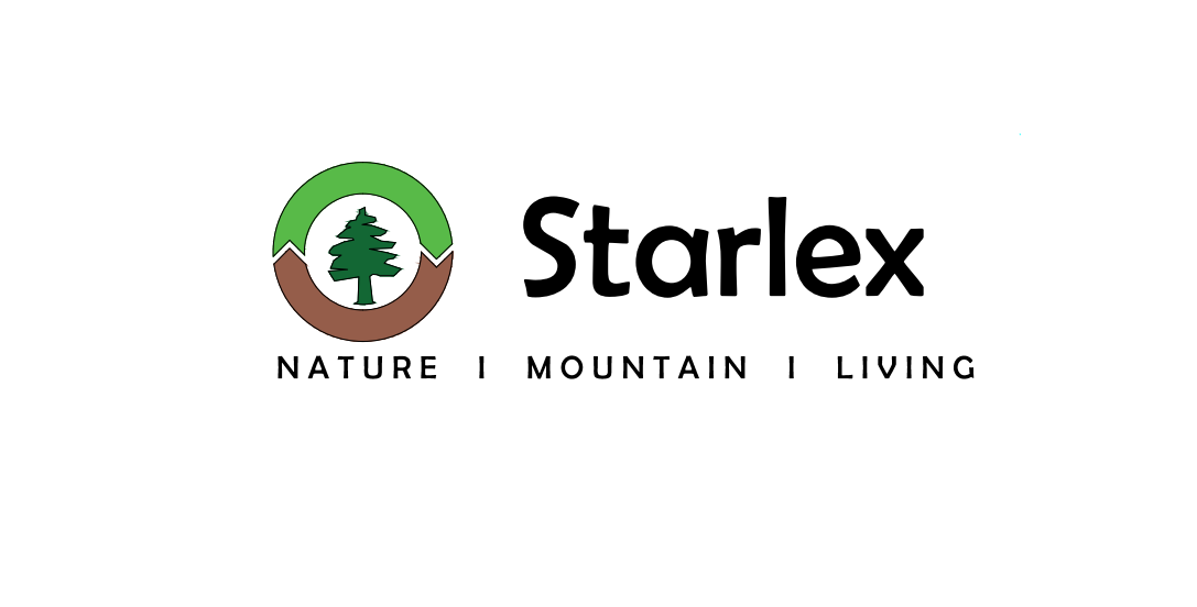 FeWo_Starlex Logo angepasst.PNG