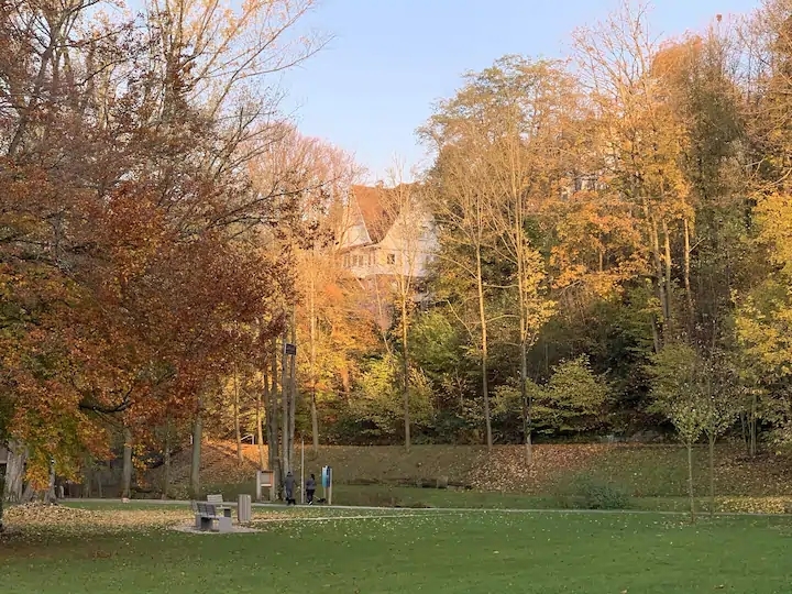 Herbstbild.jpg