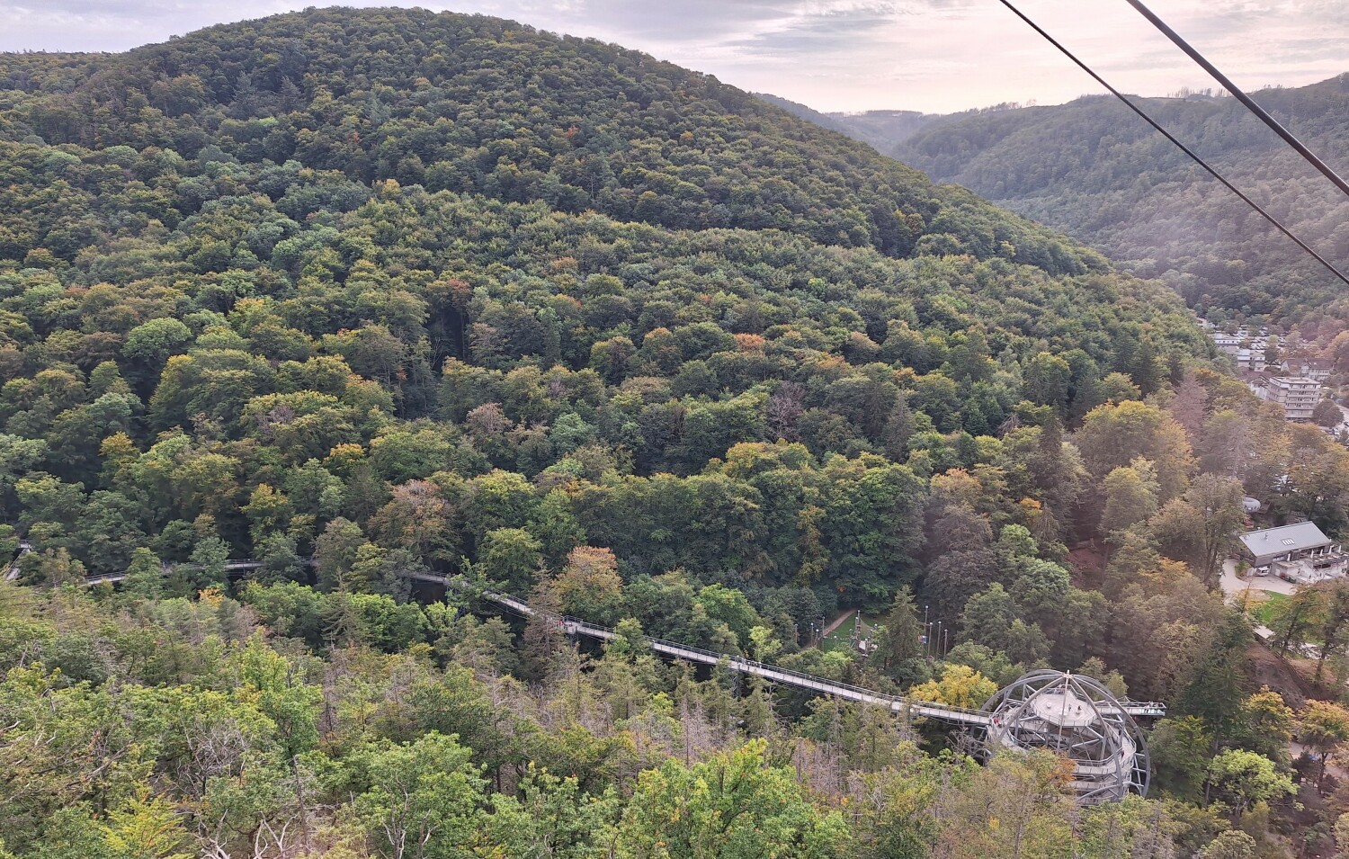 20231002_160709 2.jpg