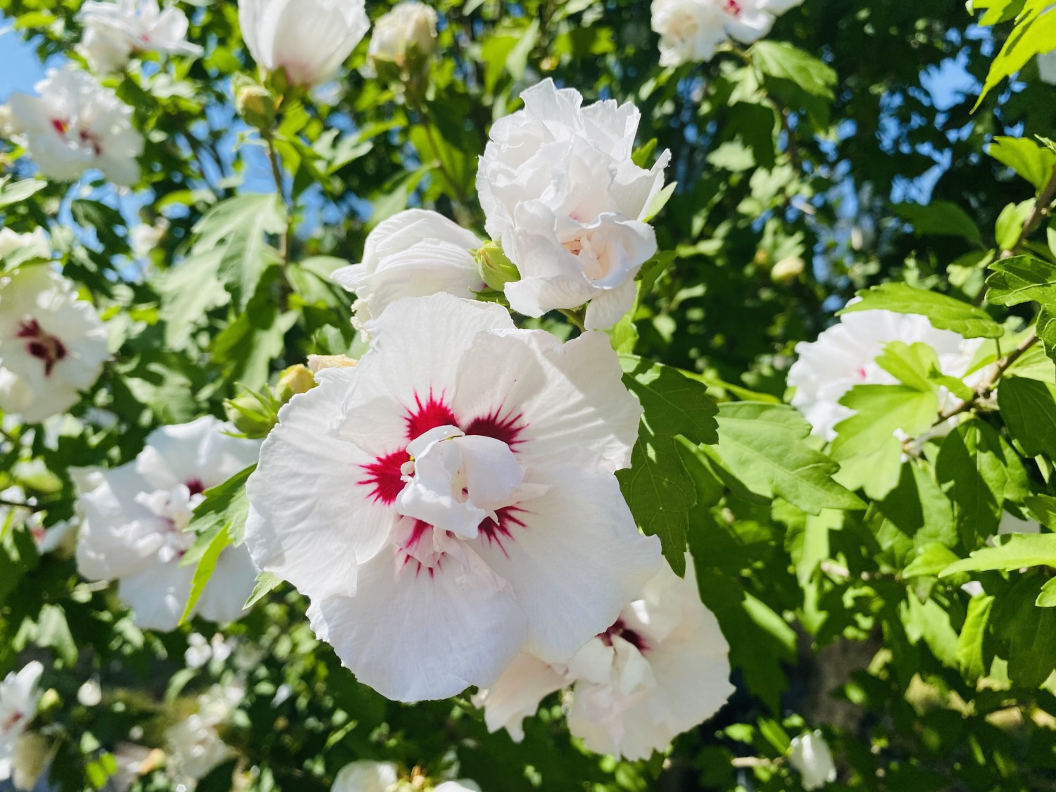 Foto 19.08.23, 12 29 40.jpg