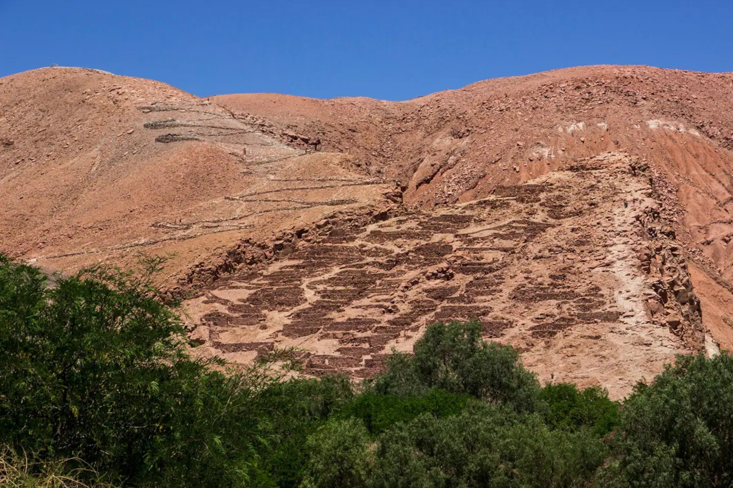 1b380e9e-a4cd-42e2-8edb-1c5661e62fb1 (1).jpg