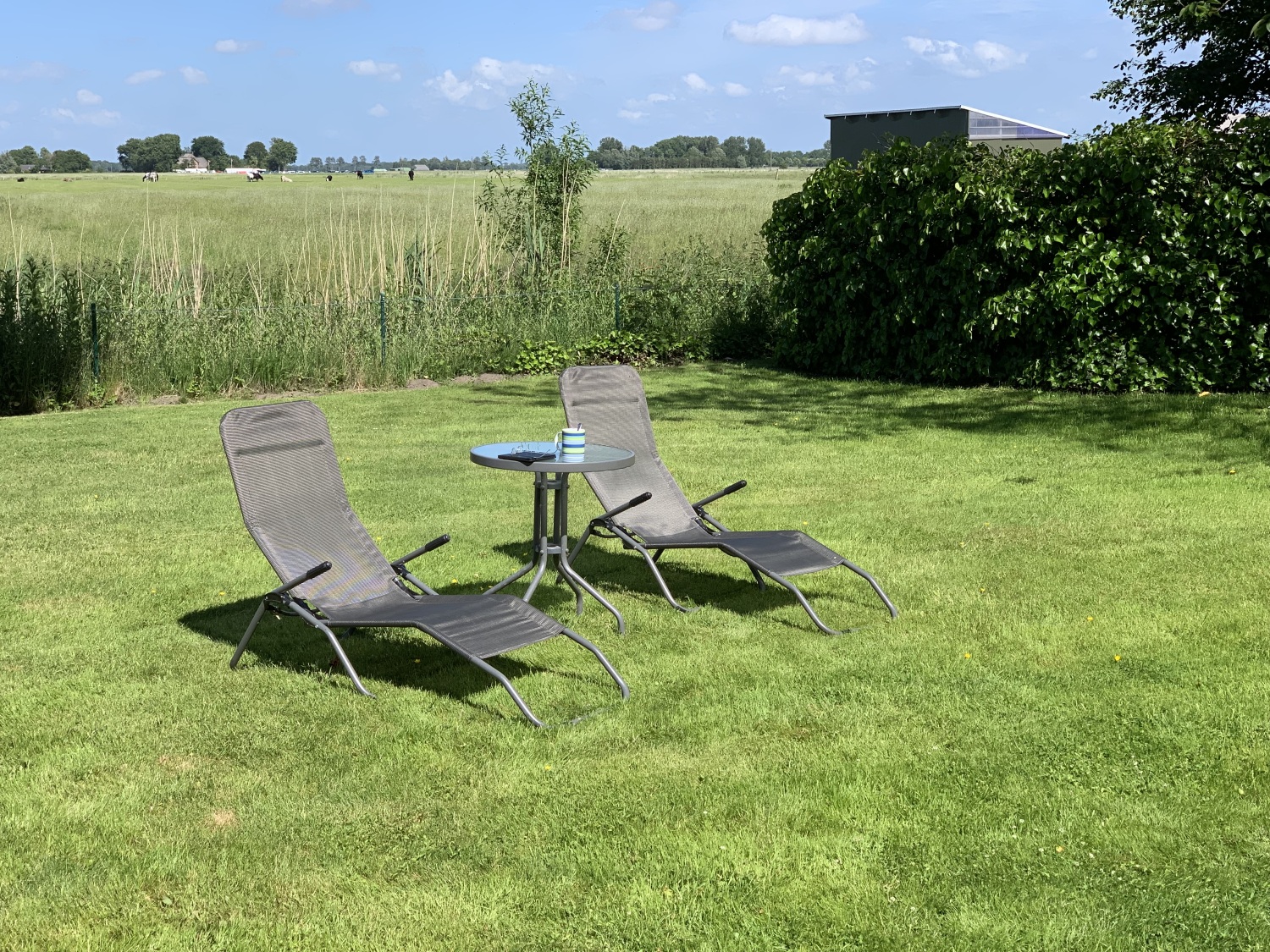 06 2022 Garten 1.jpg