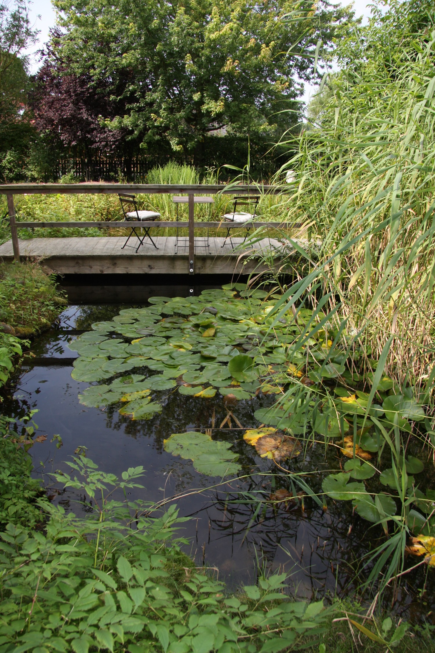 Gartenteich mit Sitzplatz - Kopie.jpg