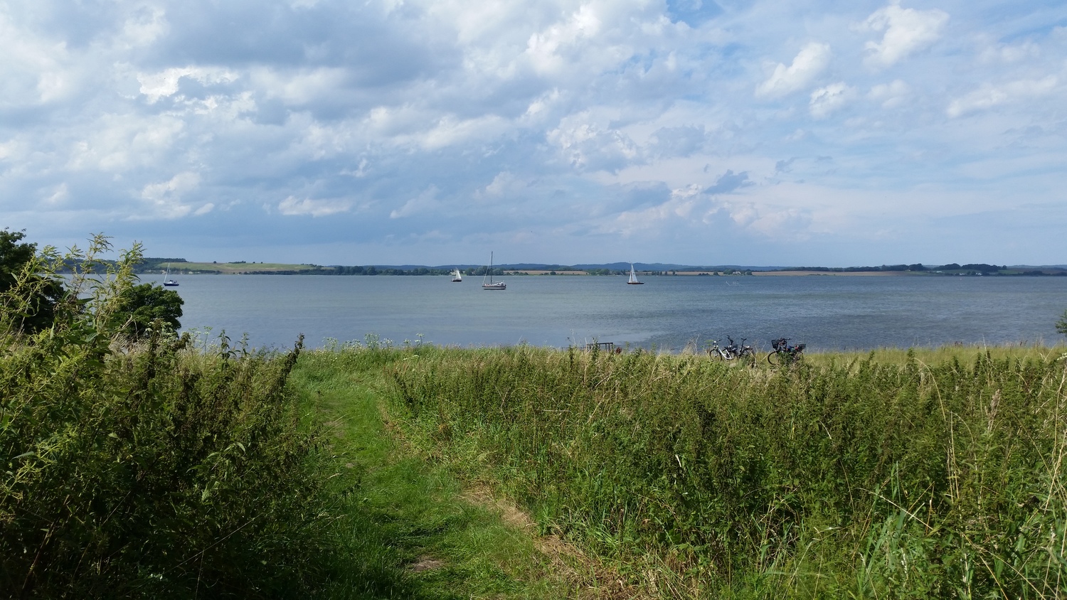 20170730_152041.jpg