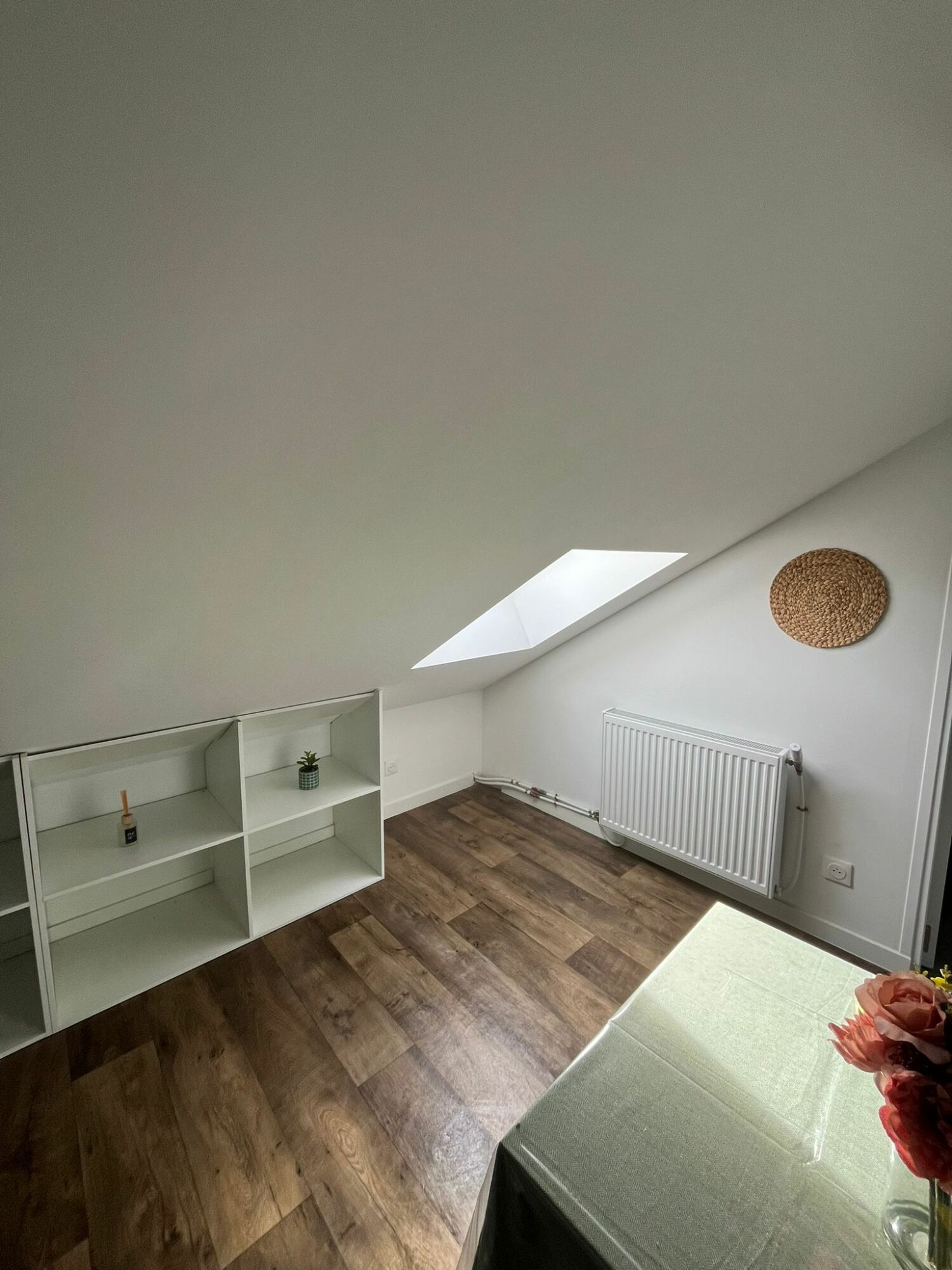 PHOTO-2024-04-05-20-46-21 2.jpg