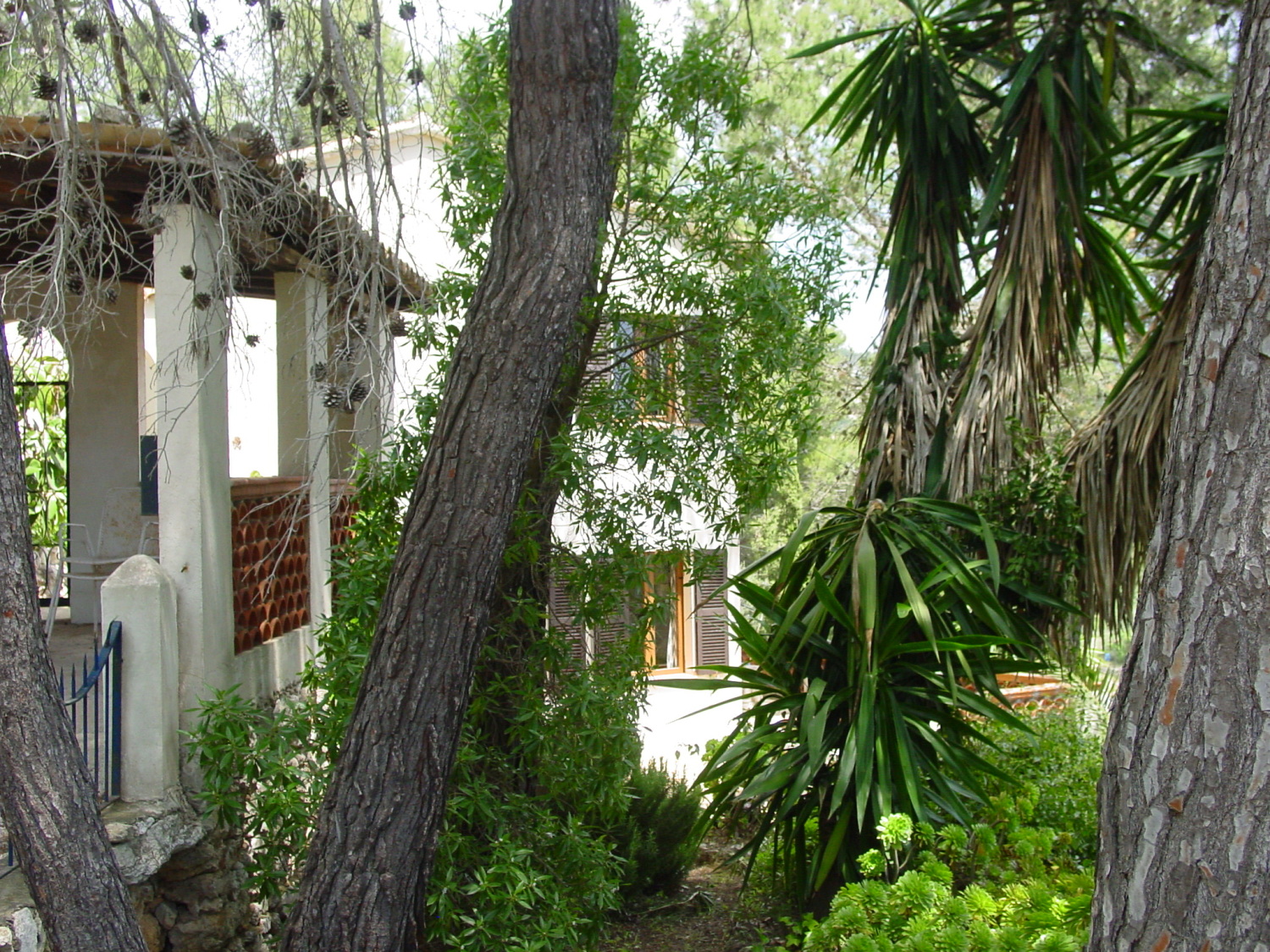 Carport mit Es Pi.JPG