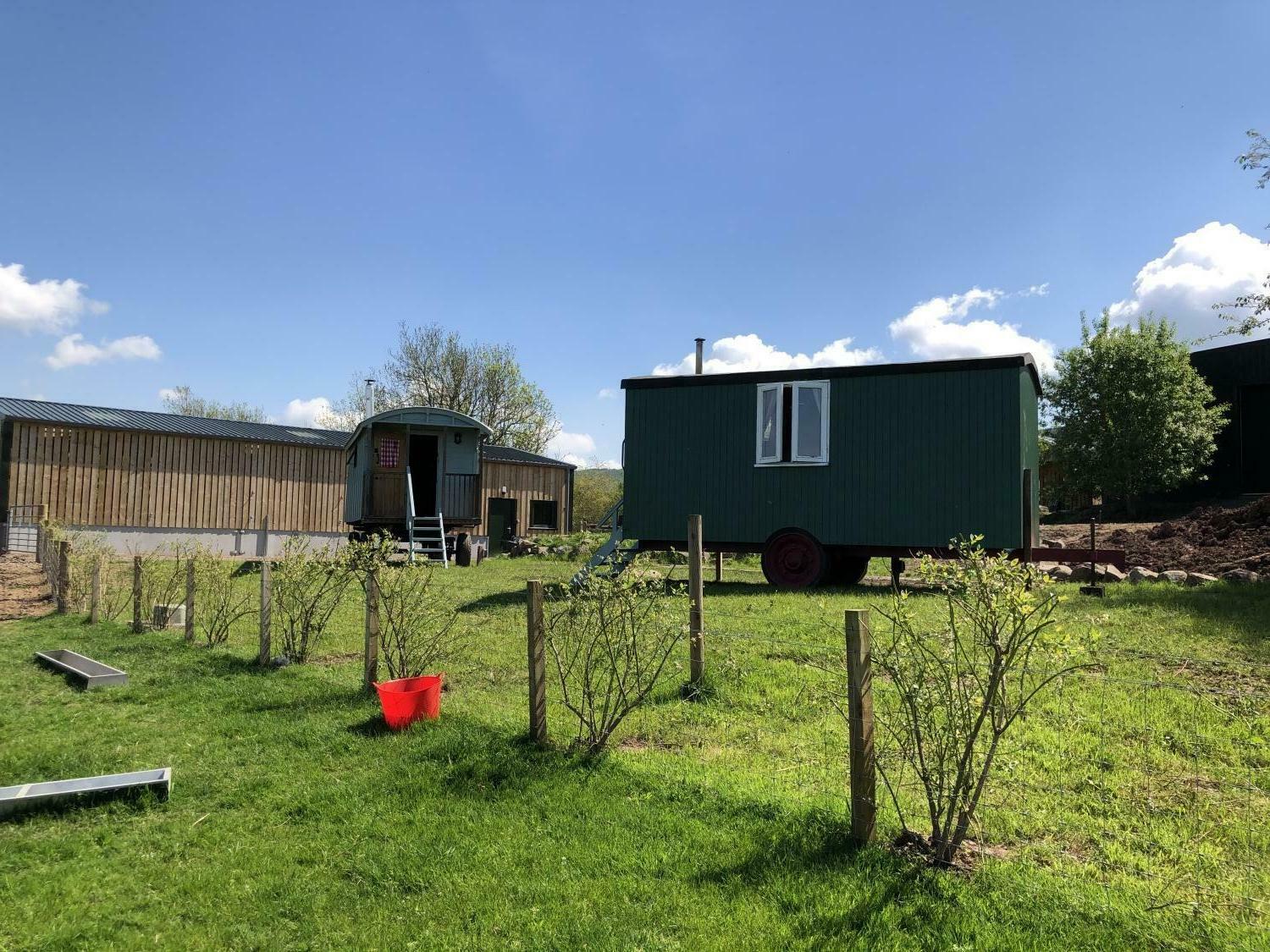 Both looking towards shed.jpeg