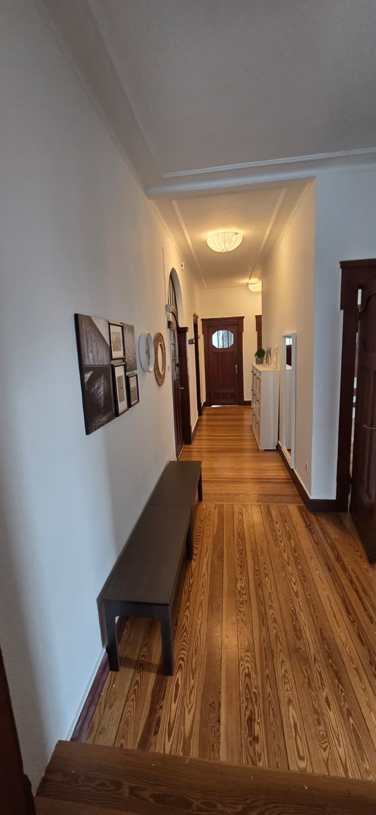 WhatsApp Image 2026-01-19 at 14.11.59.jpeg