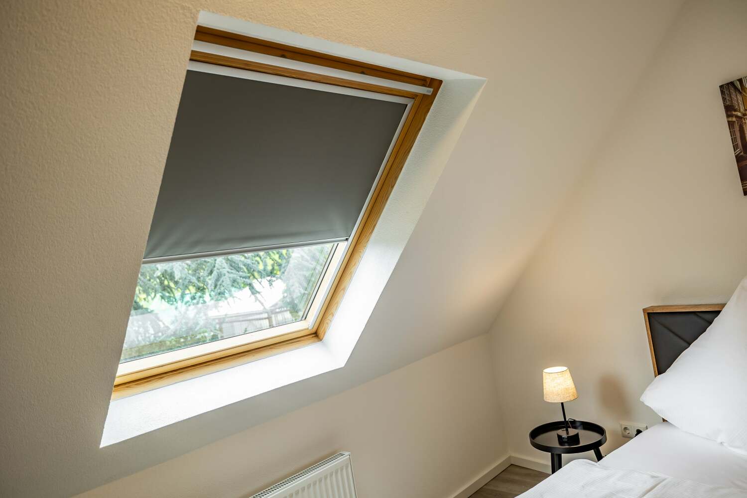 bildgewalt Frank_080724-165-min.jpg