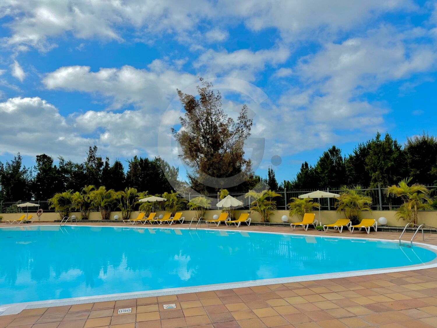 WhatsApp Image 2025-07-28 at 19.26.58 (1).jpeg