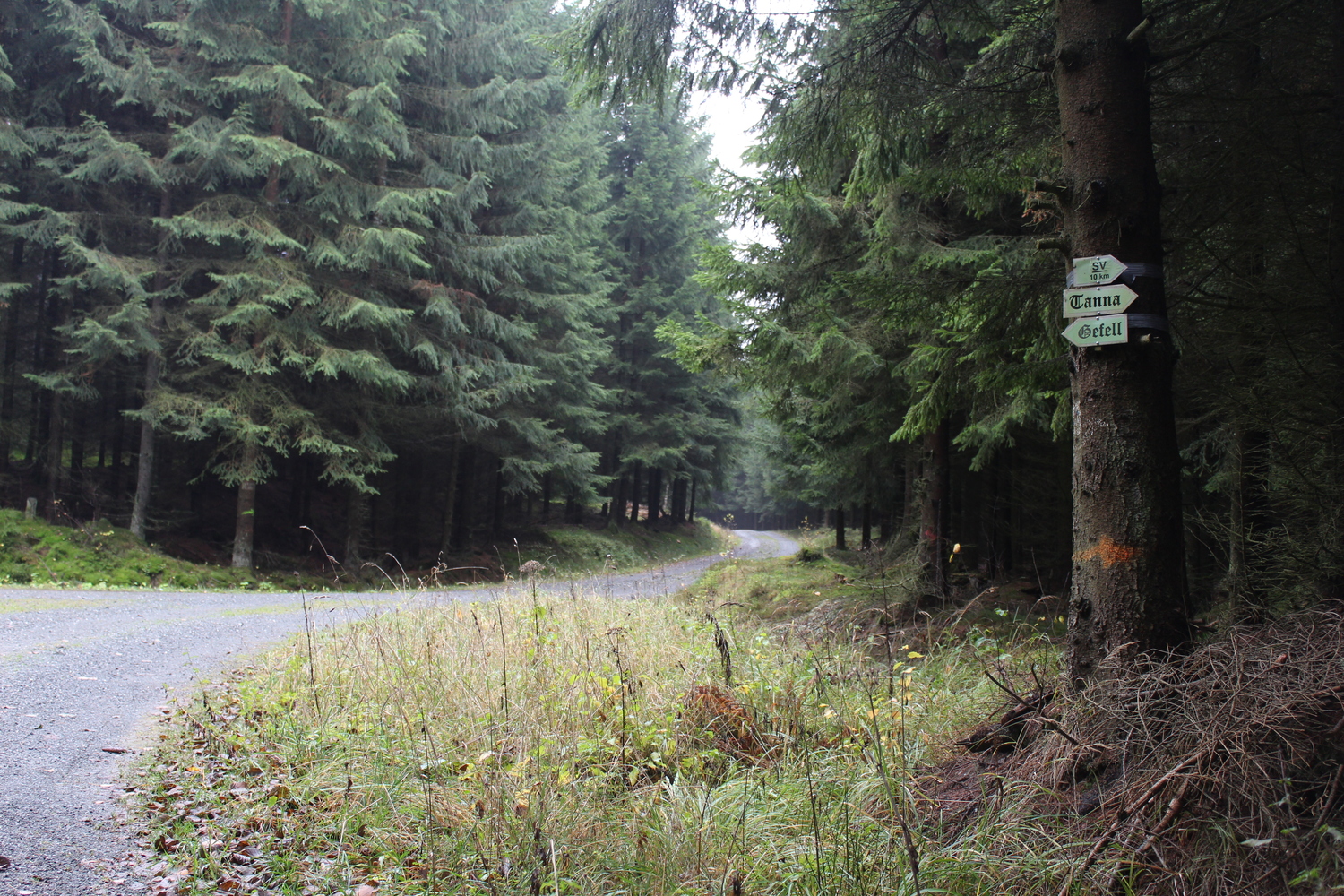 Natur Tanna (16).JPG