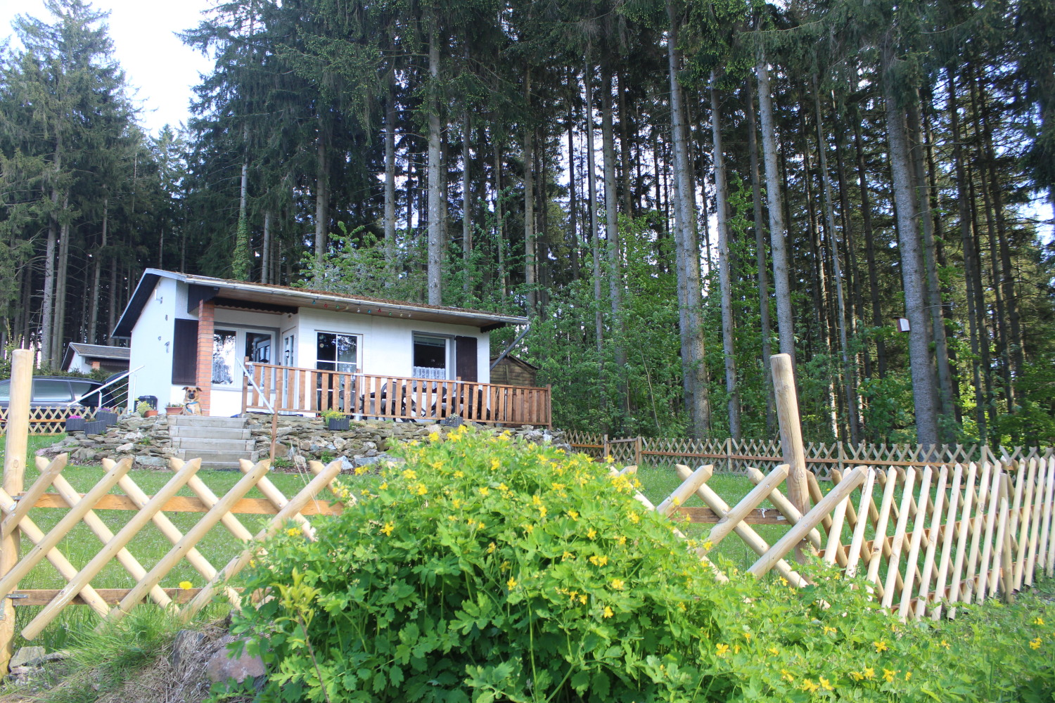 Bungalow 46 - Sommer (2).JPG