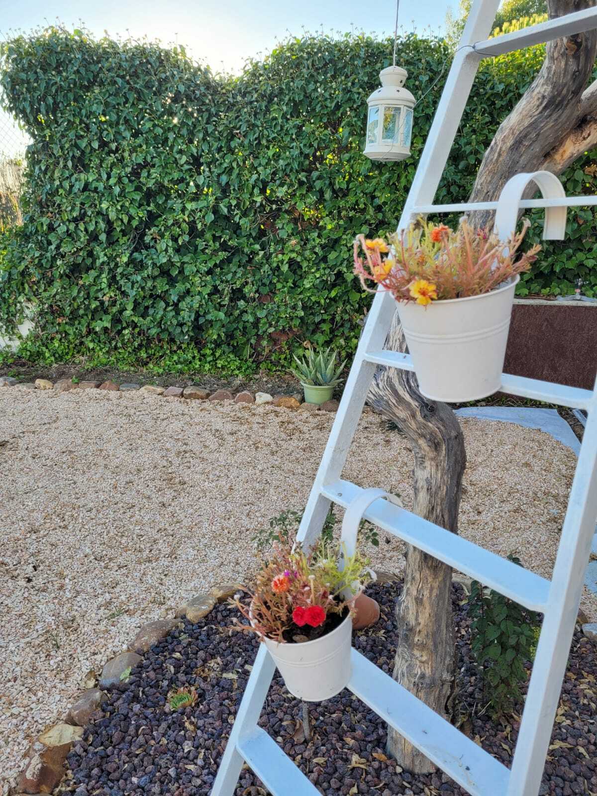 Imagen de WhatsApp 2023-10-28 a las 18.23.19_05e00770.jpg