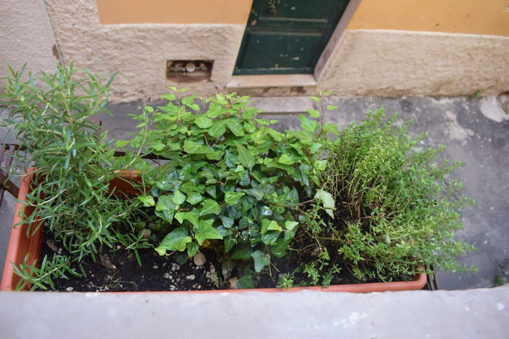 WhatsApp Image 2023-06-06 at 15.14.15 (3).jpeg