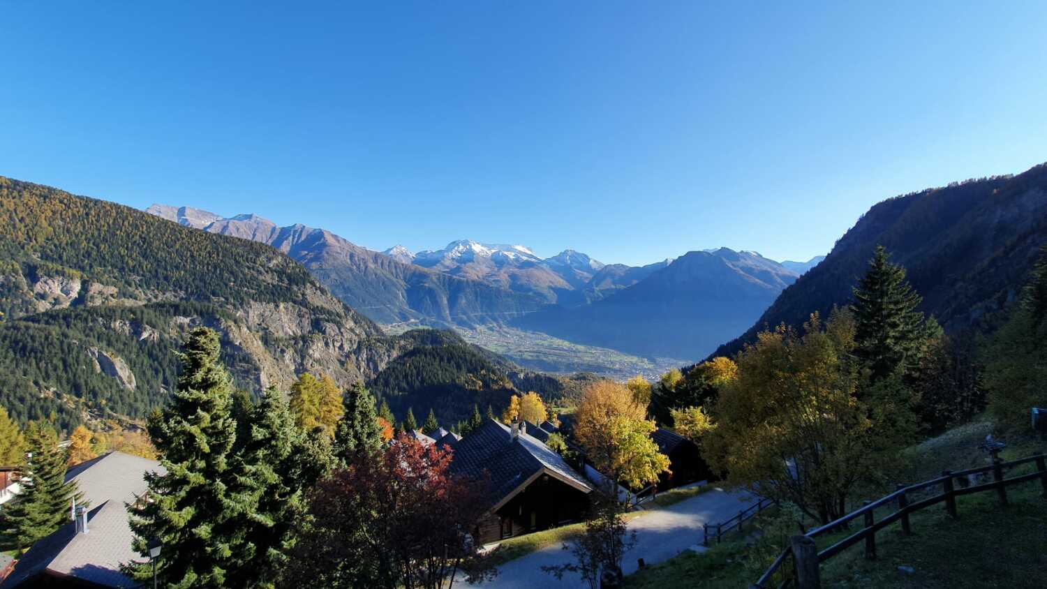 WhatsApp Image 2021-10-25 at 15.58.53 (1).jpeg