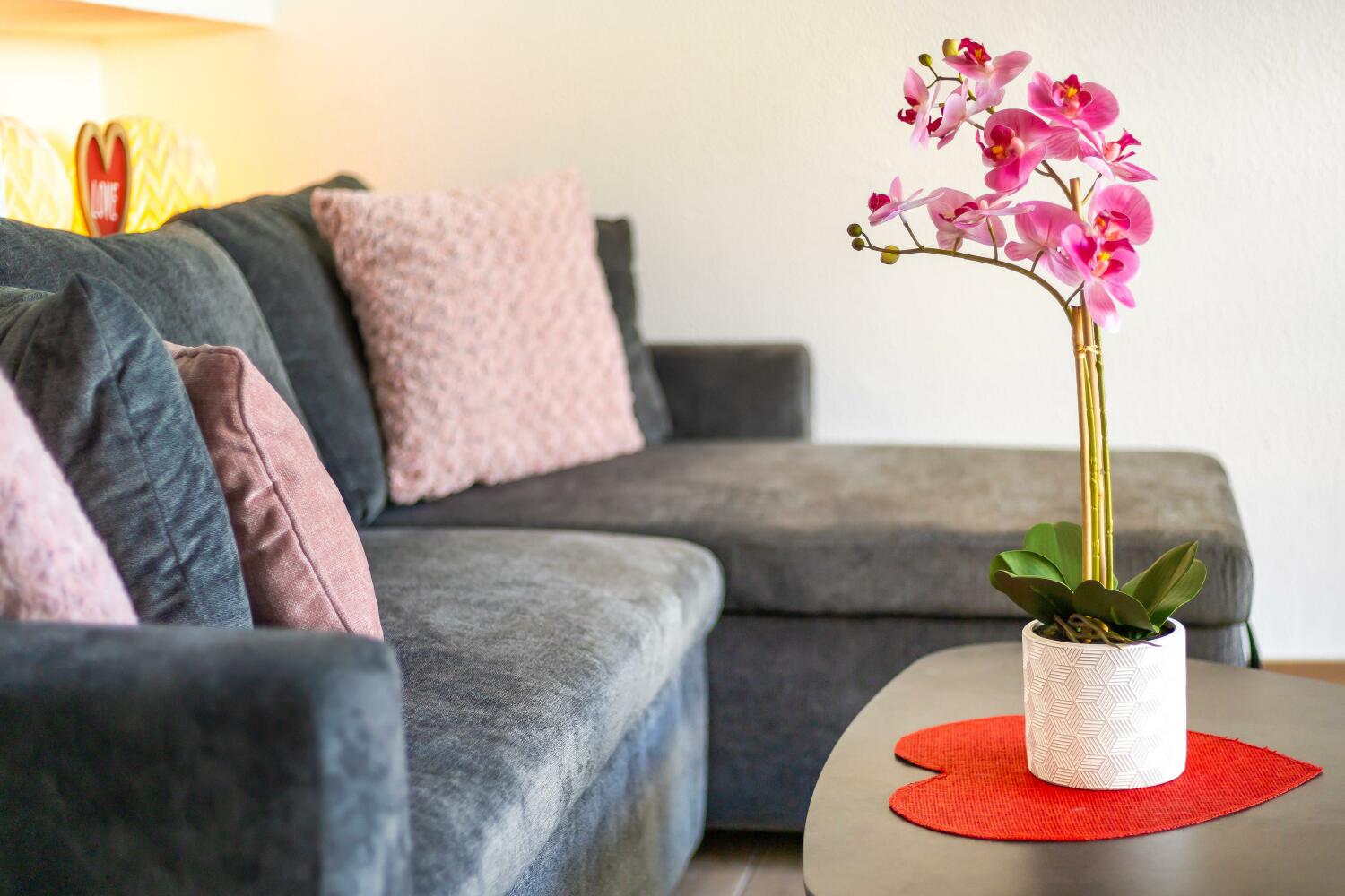 WhatsApp Image 2024-10-25 at 13.14.03 (4).jpeg