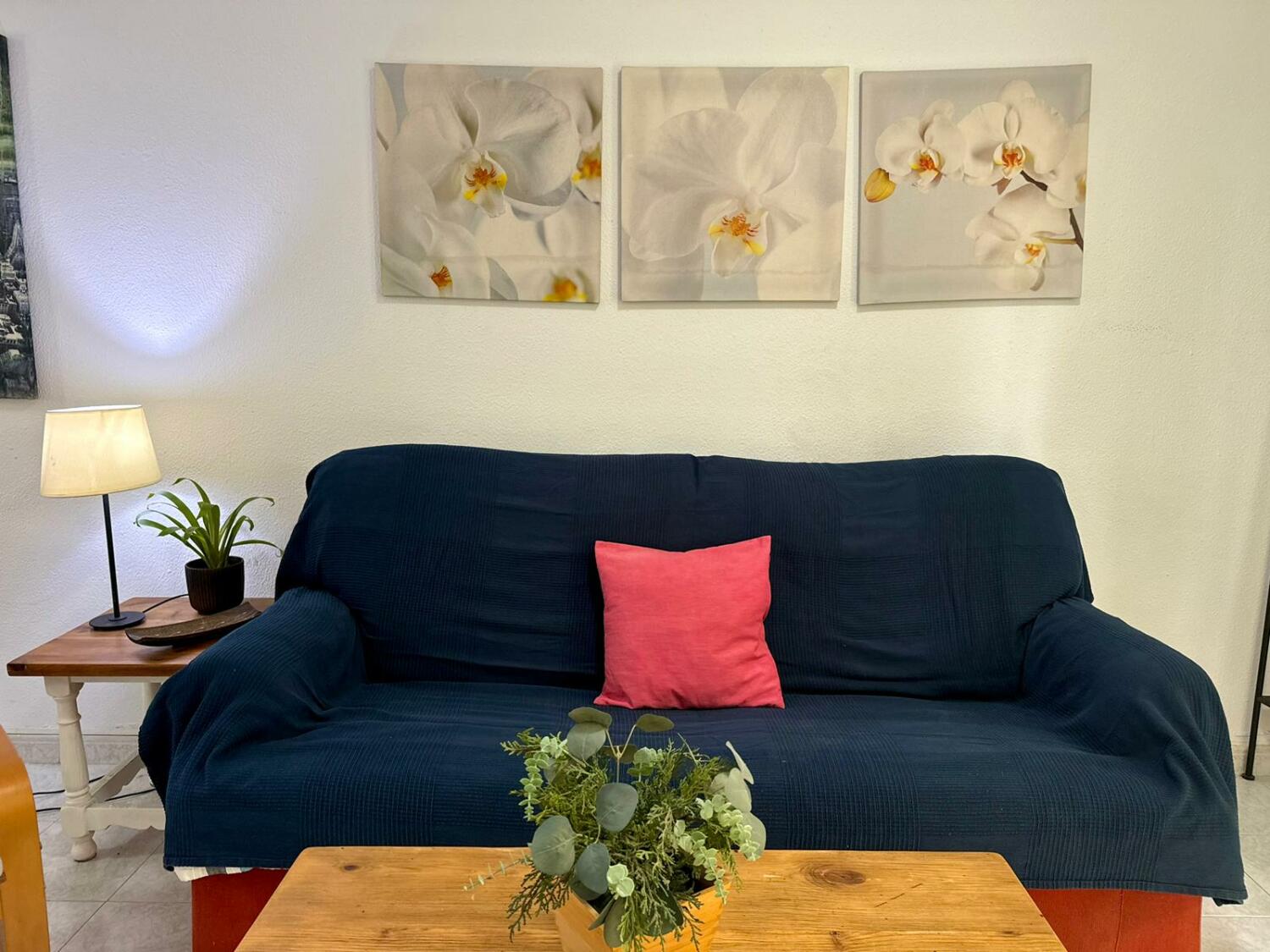 WhatsApp Image 2025-11-26 at 20.32.04.jpeg