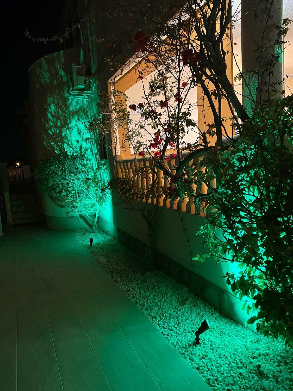 Foto 11.04.24, 21 34 00.jpg