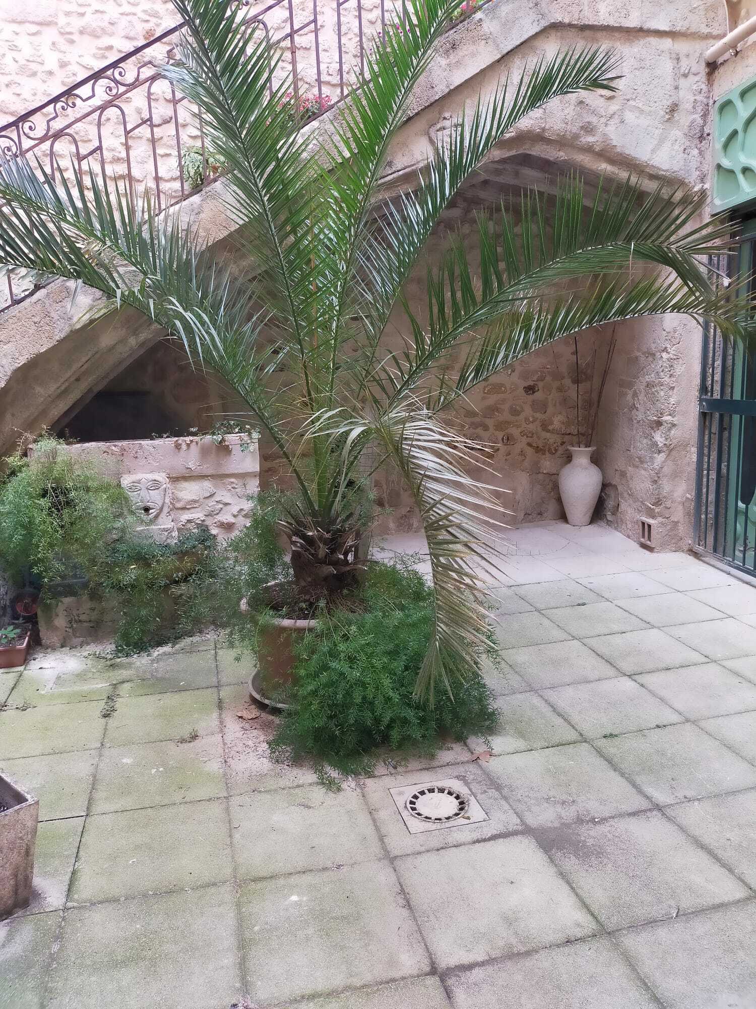 WhatsApp Image 2023-09-11 at 15.19.29.jpeg