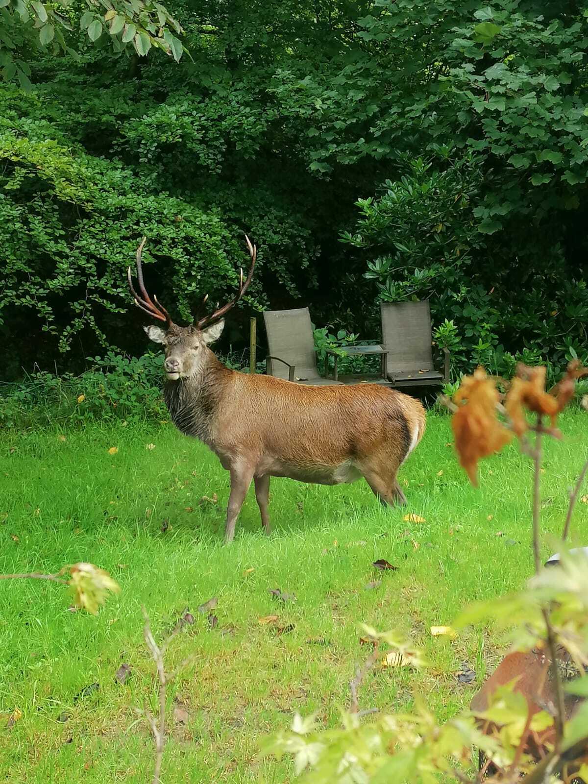 PHOTO-2022-09-06-21-00-08 2.jpg