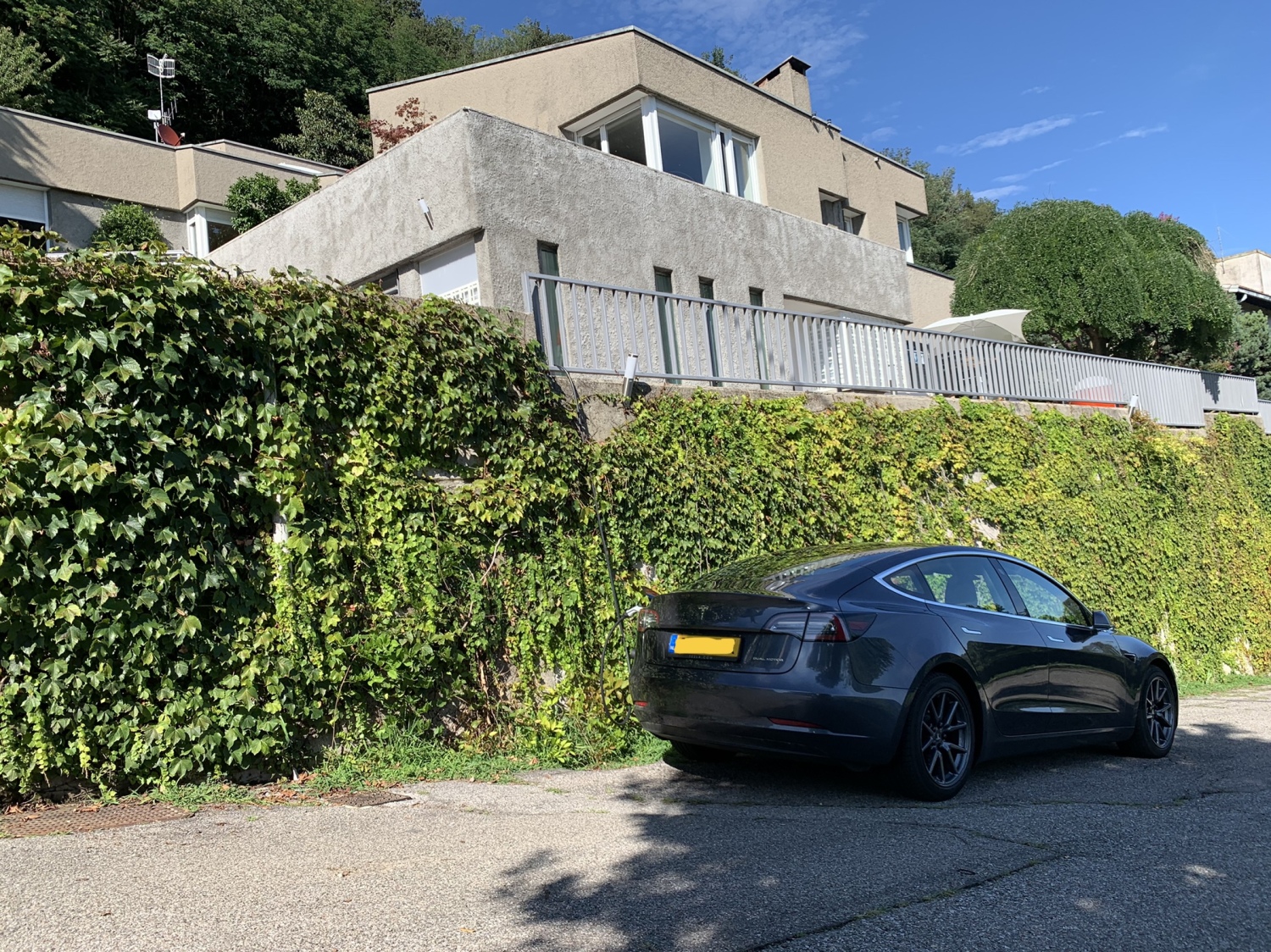 2021-08-06 08.24.43.jpg