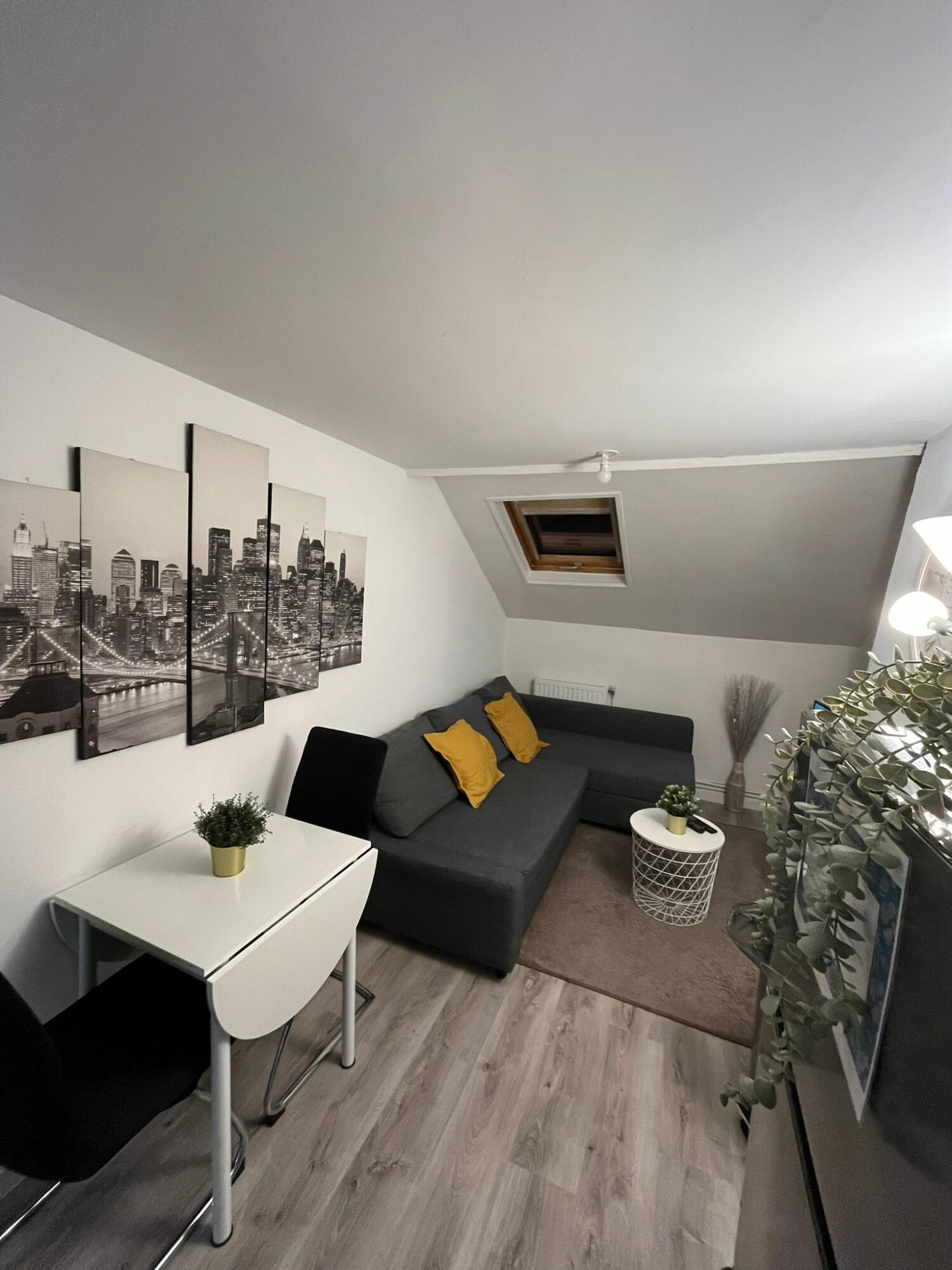 PHOTO-2024-02-11-21-05-00 2.jpg