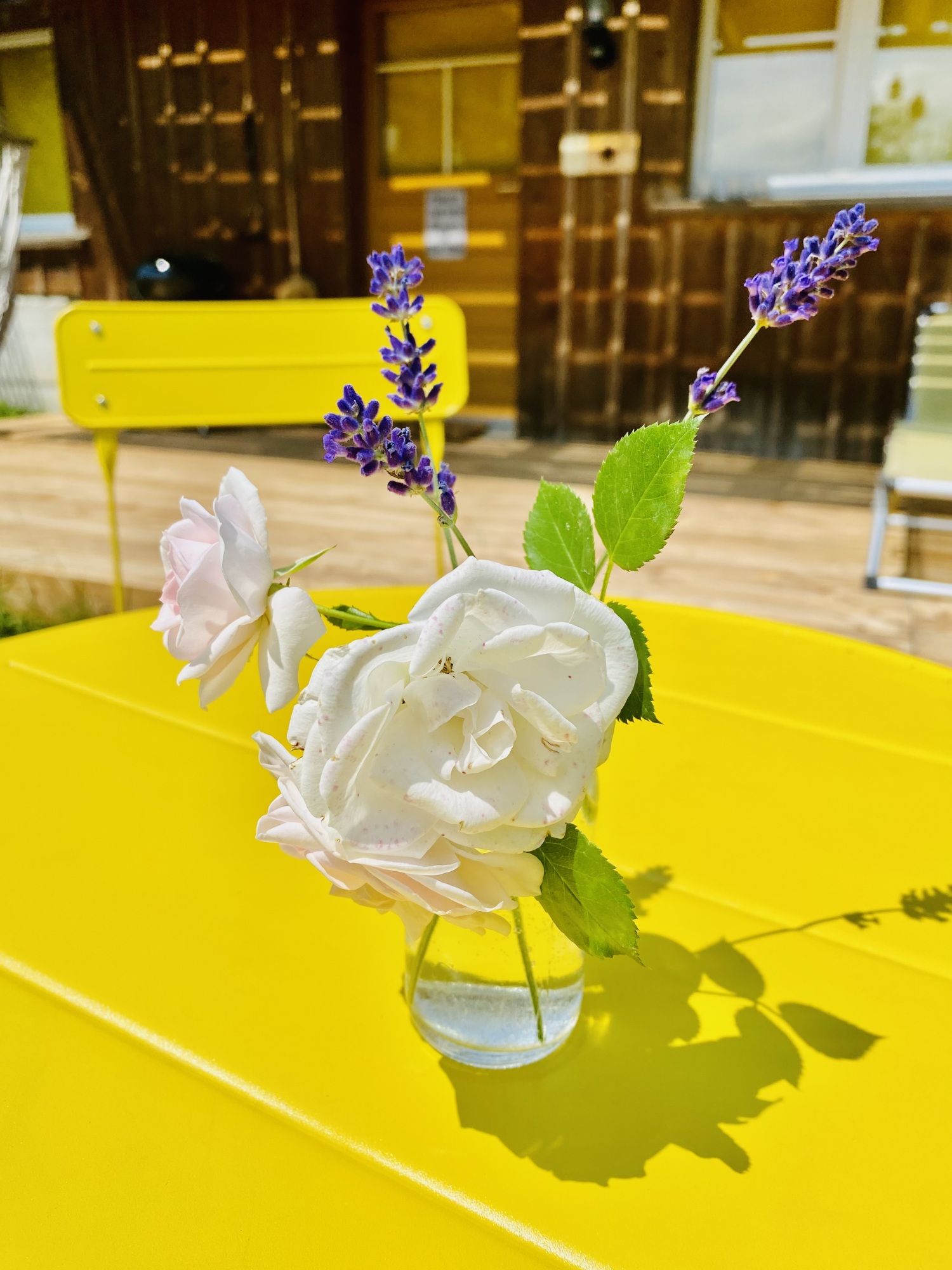 Foto 10.07.23, 13 51 01.jpg