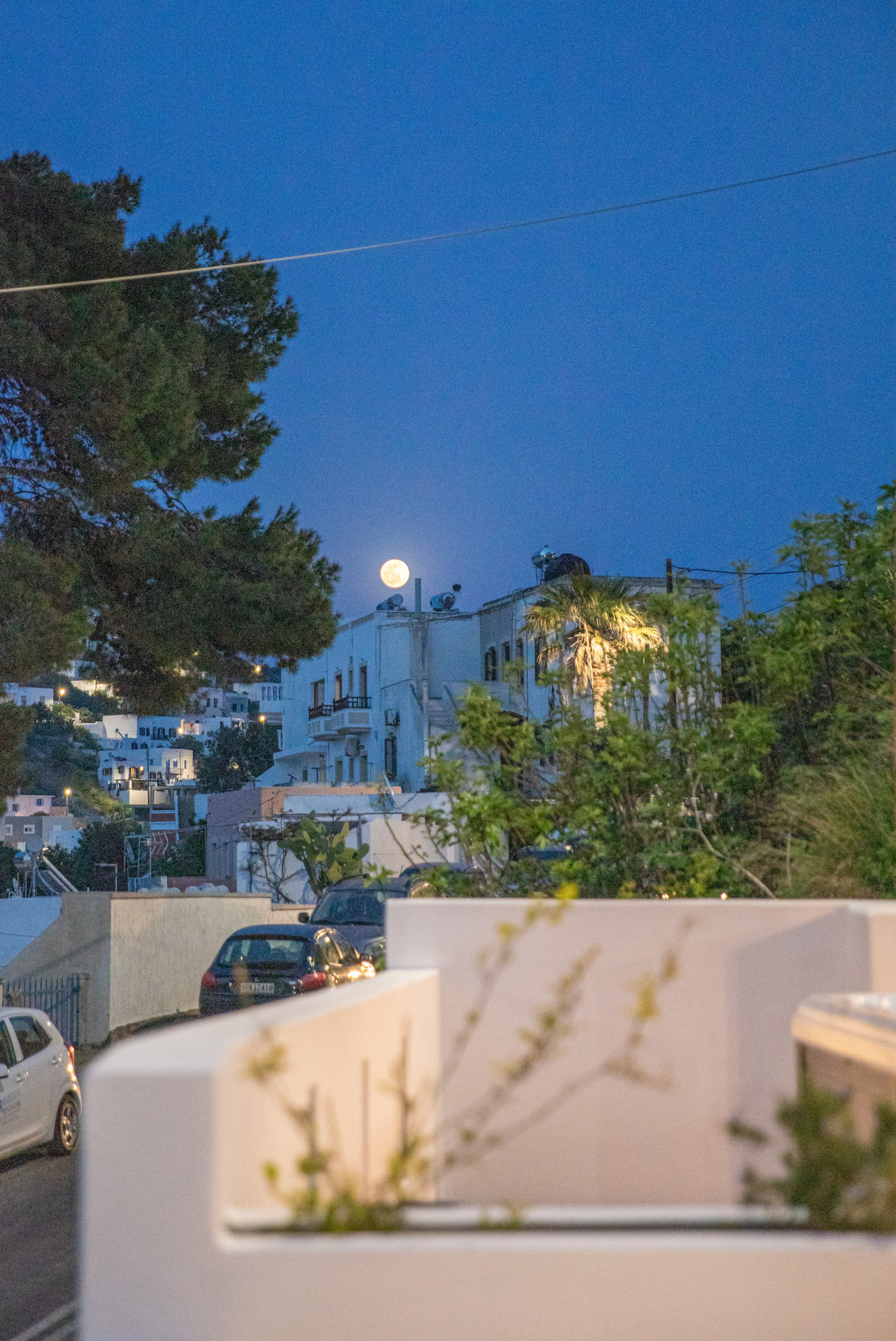 IMG_0105 reduced.jpg